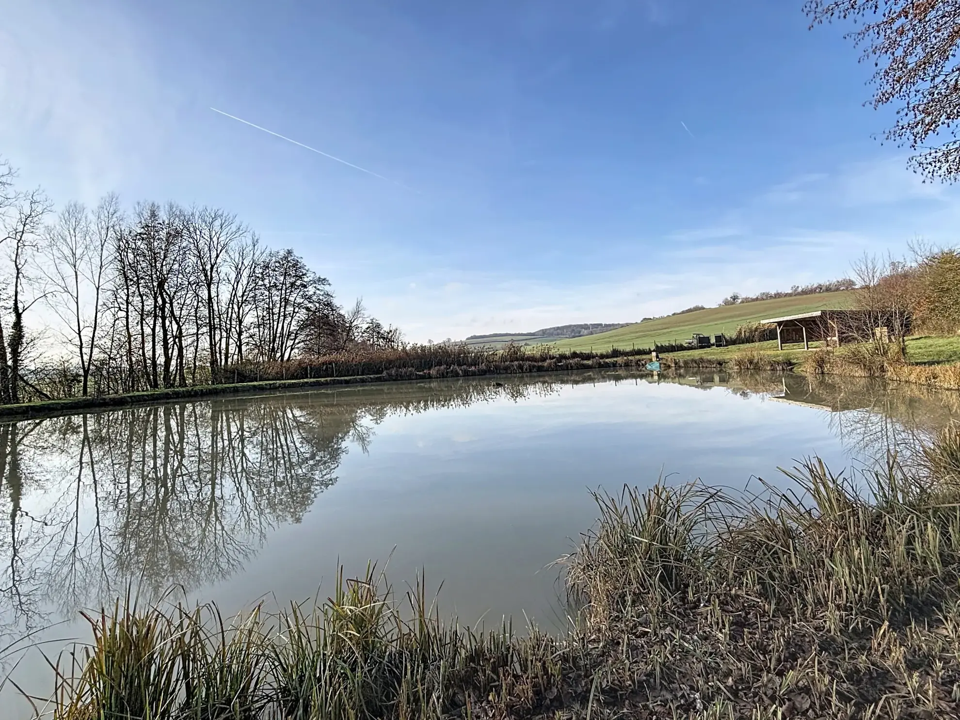 Terrain de loisir avec étang et bois privé à proximité de Mirecourt 