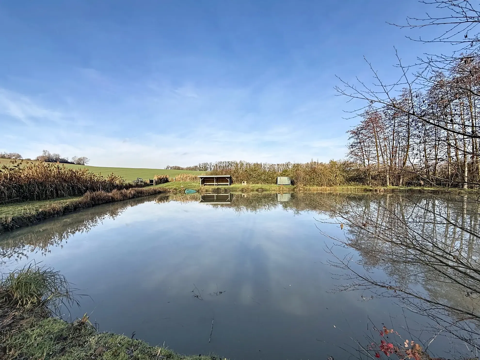 Terrain de loisir avec étang et bois privé à proximité de Mirecourt 