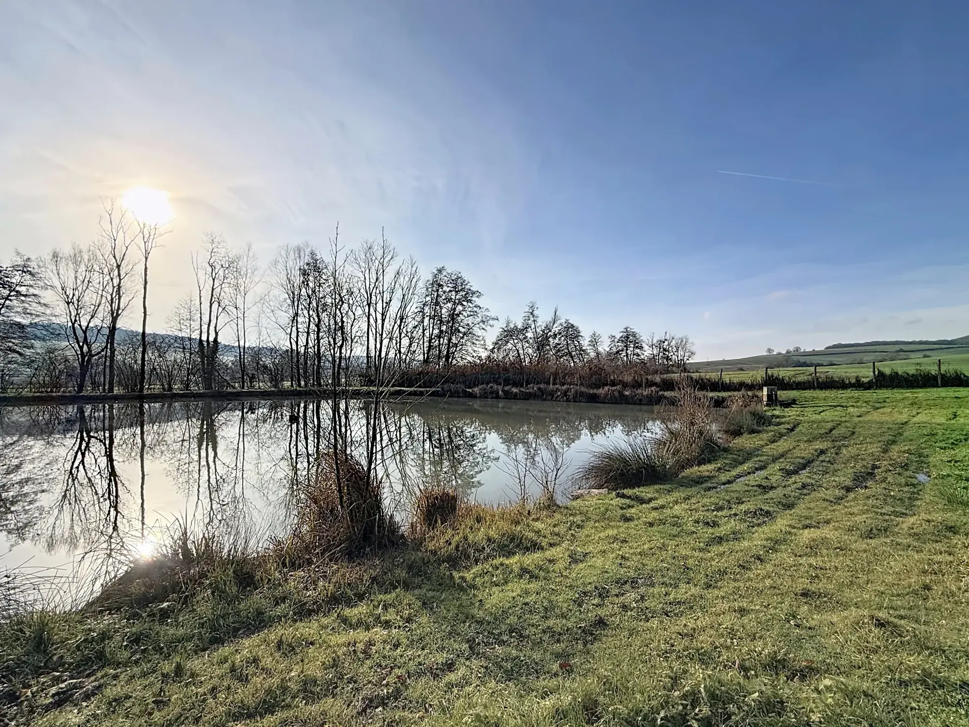 Terrain de loisir avec étang et bois privé à proximité de Mirecourt 