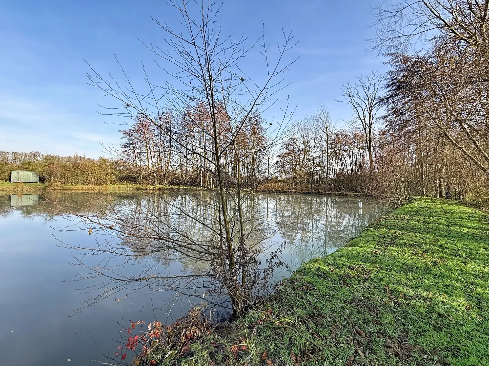 Terrain de loisir avec étang et bois privé à proximité de Mirecourt 