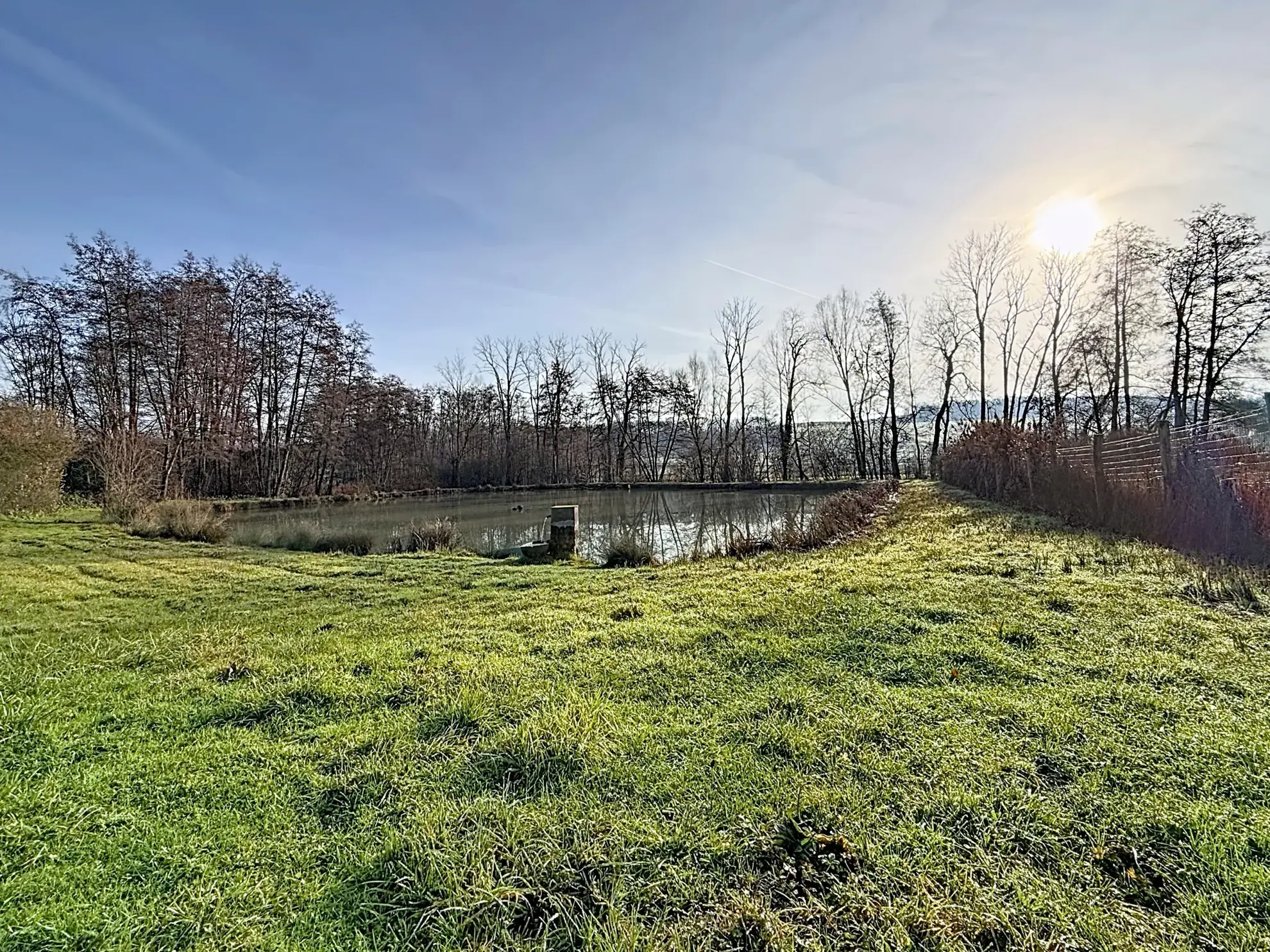 Terrain de loisir avec étang et bois privé à proximité de Mirecourt 