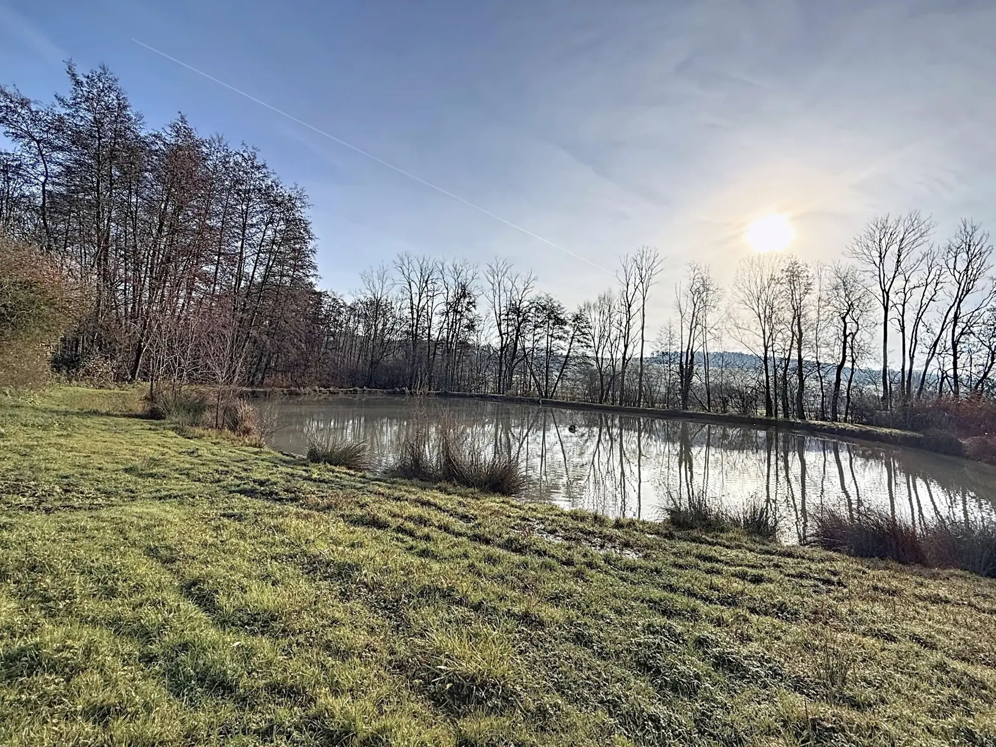 Terrain de loisir avec étang et bois privé à proximité de Mirecourt 