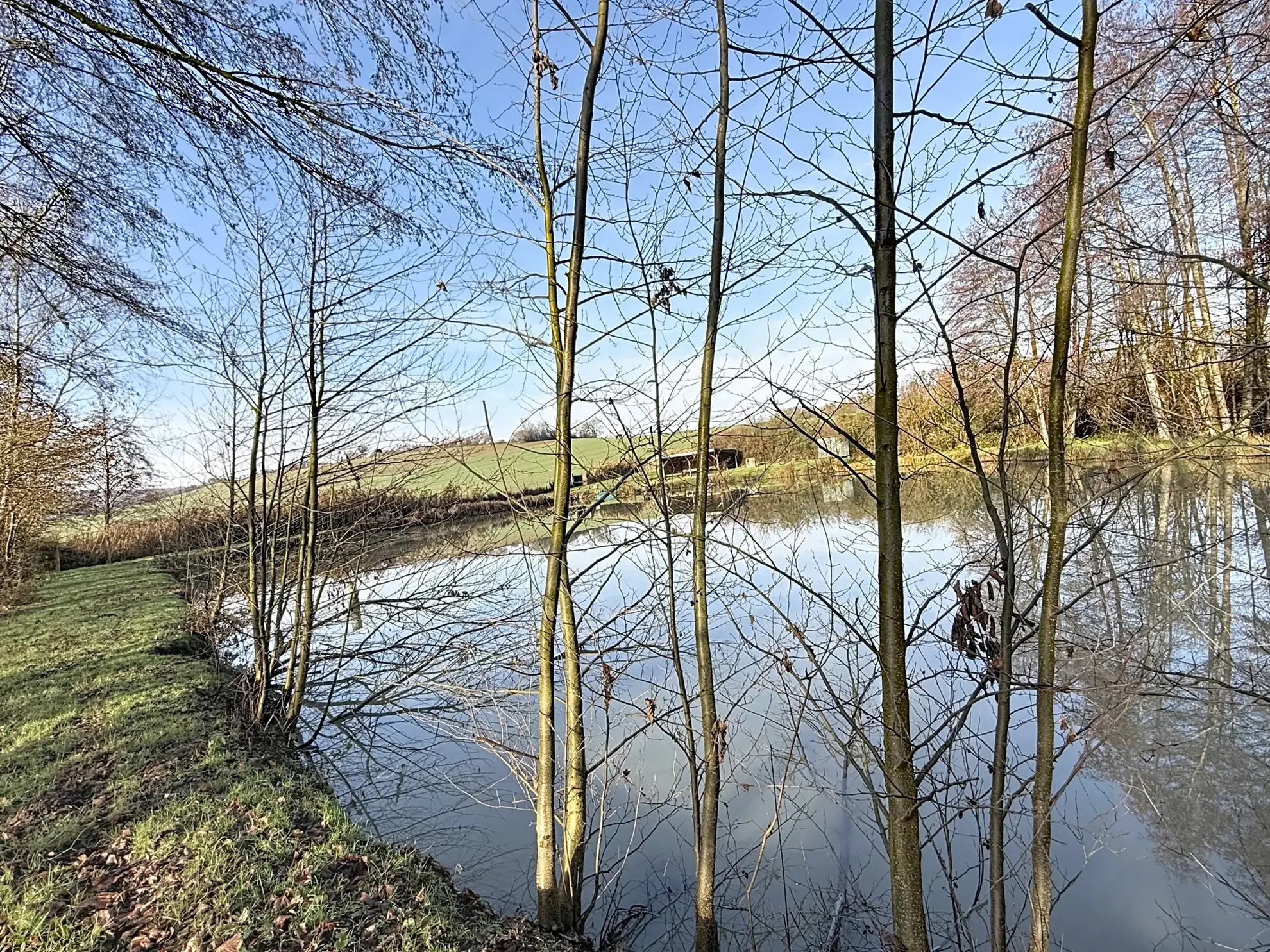 Terrain de loisir avec étang et bois privé à proximité de Mirecourt 