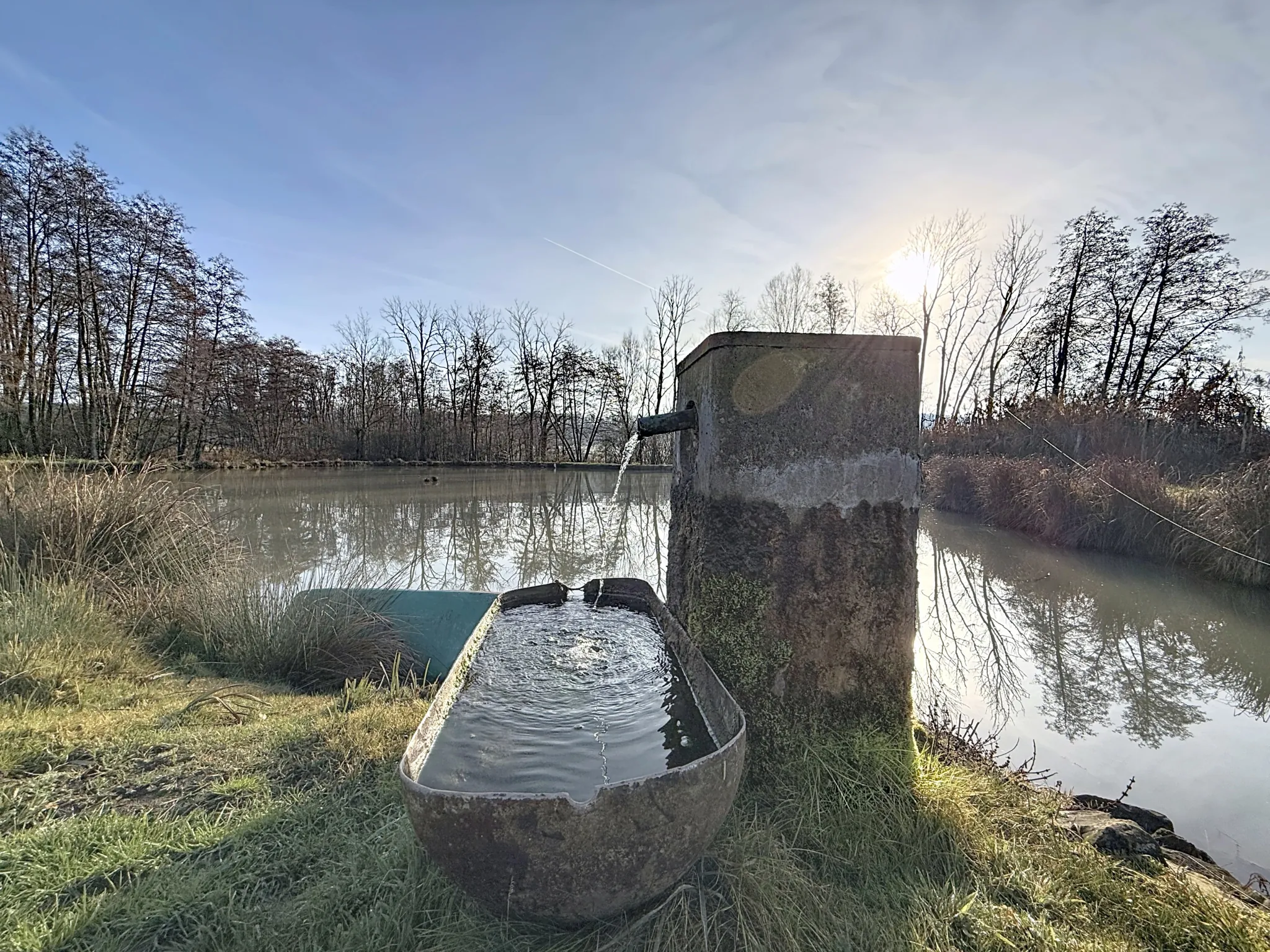 Terrain de loisir avec étang et bois privé à proximité de Mirecourt