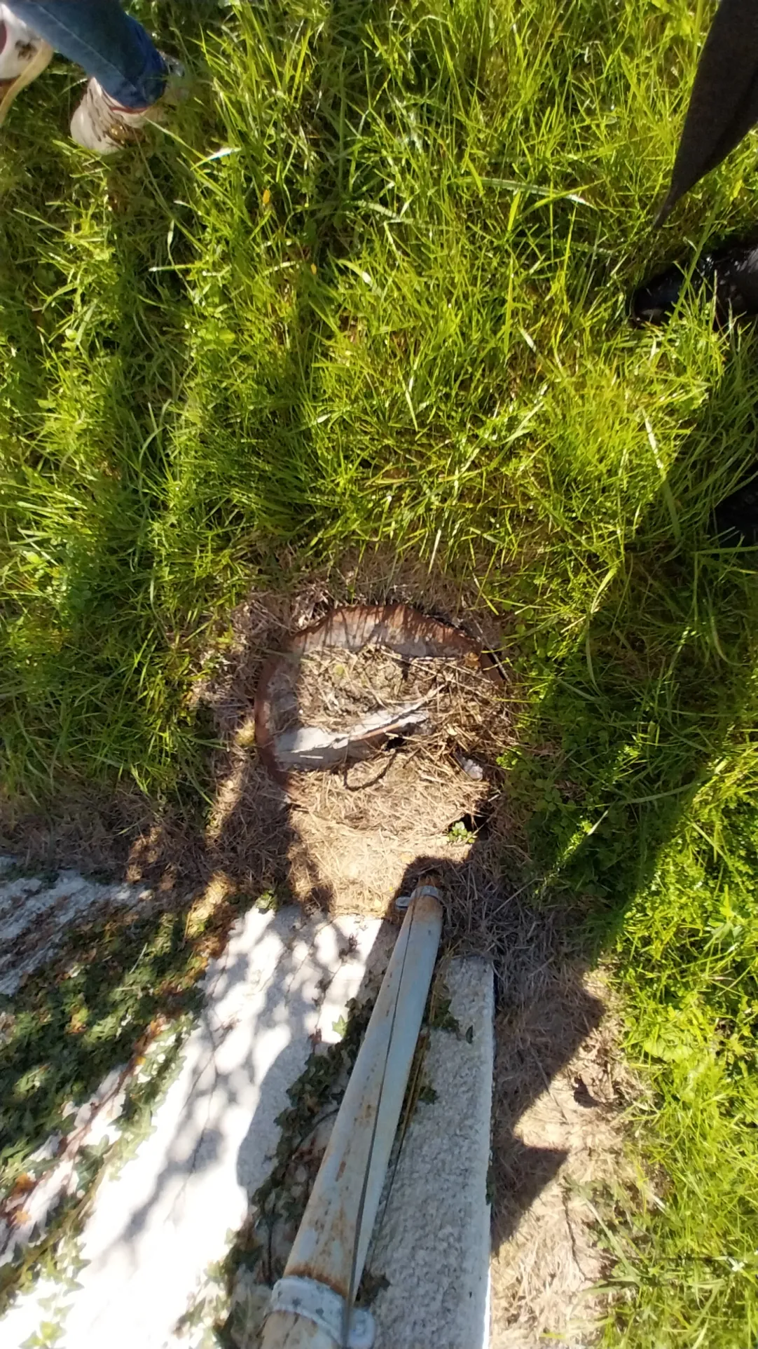 Maison avec grand terrain de 2 hectares à Mareuil la Belle en Périgord Vert 