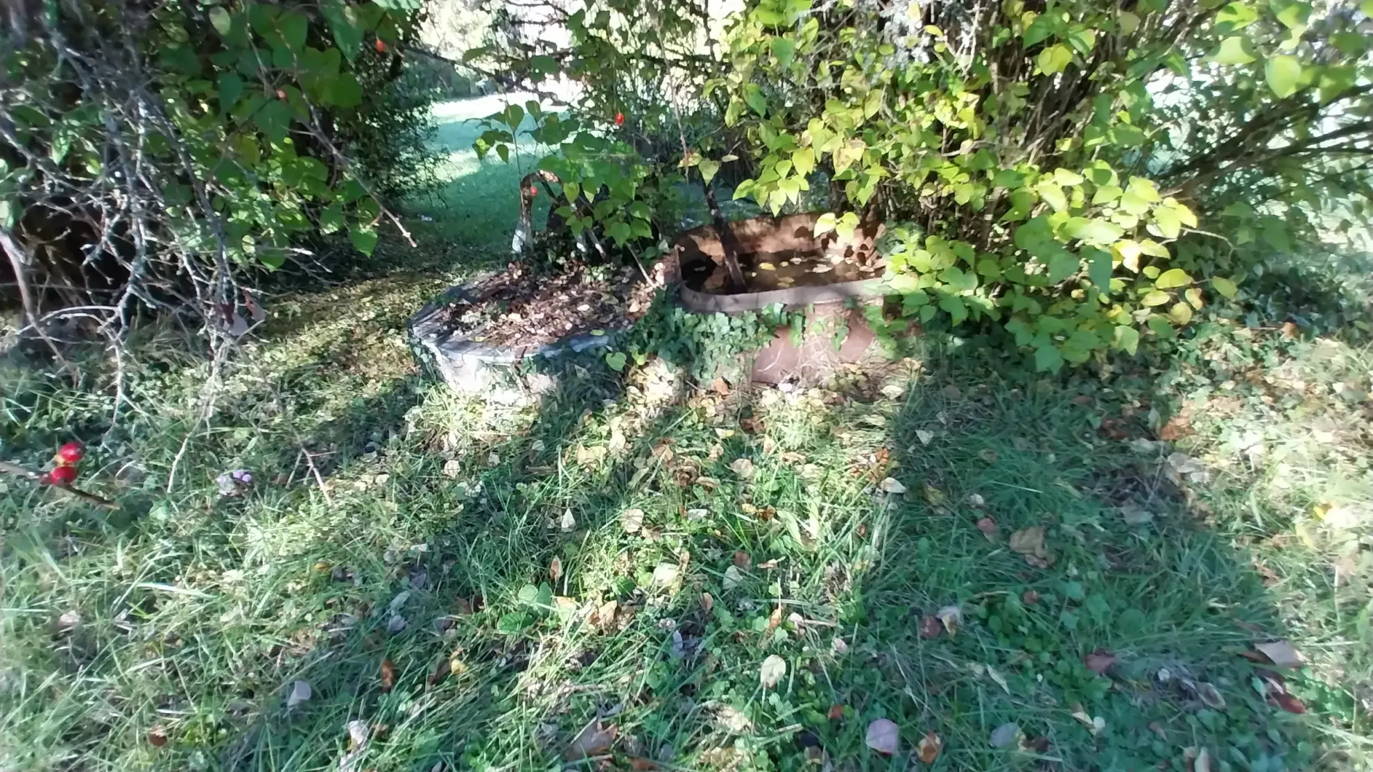Maison avec grand terrain de 2 hectares à Mareuil la Belle en Périgord Vert 