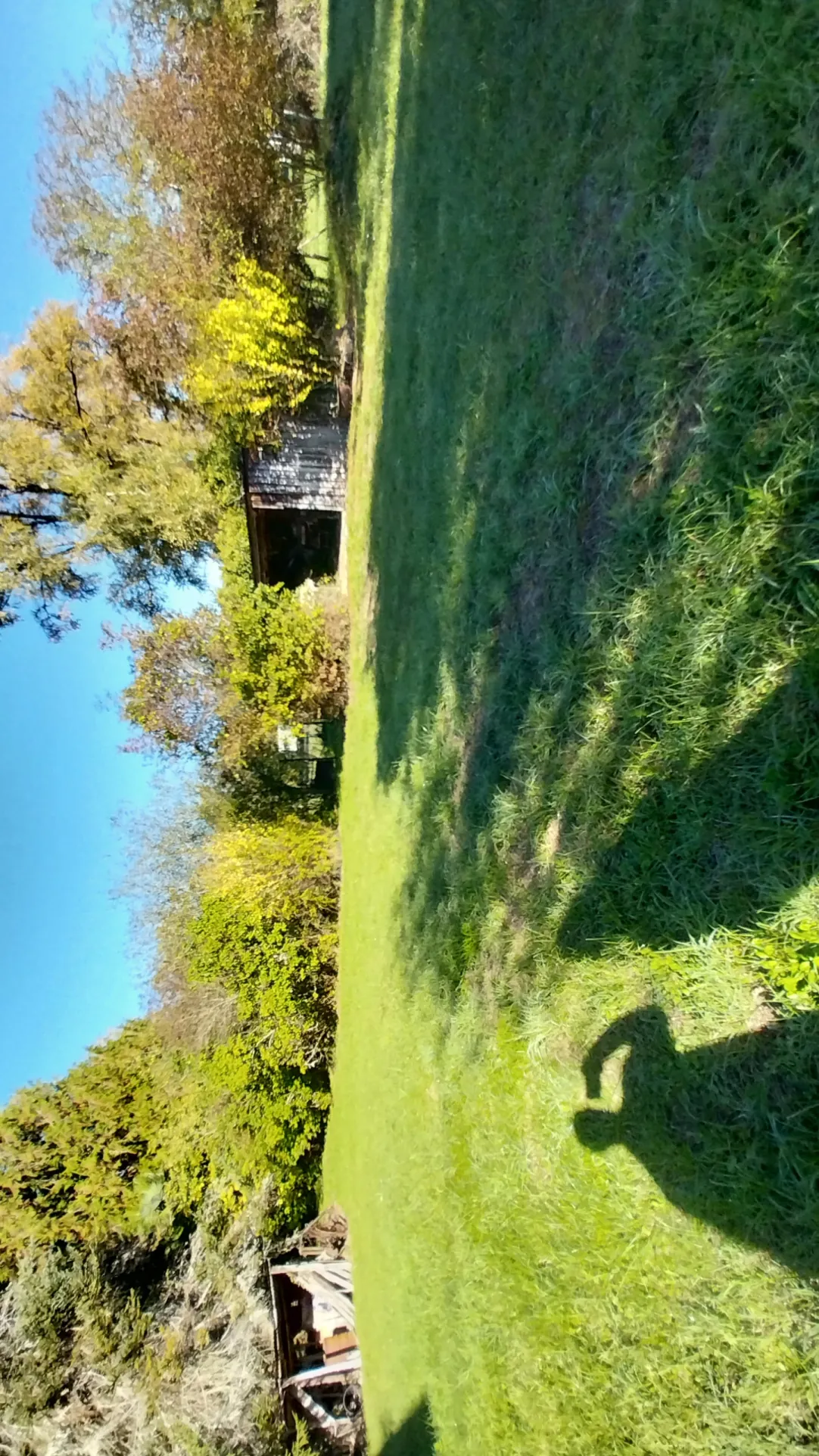 Maison avec grand terrain de 2 hectares à Mareuil la Belle en Périgord Vert 