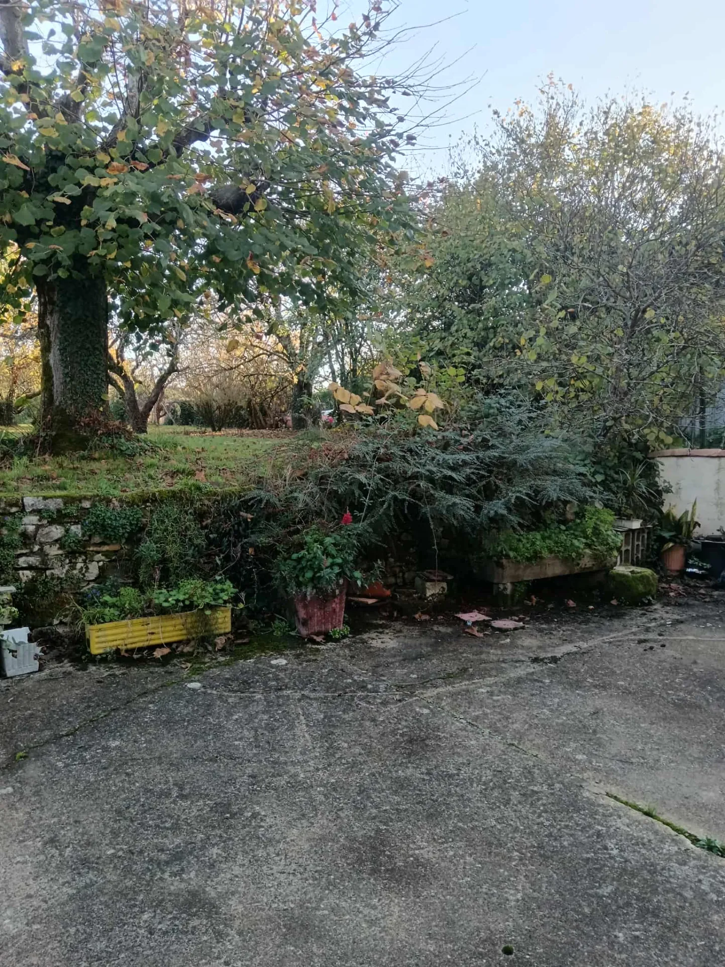 Vente d’un ensemble immobilier comprenant deux maisons à Valence-en-Poitou 