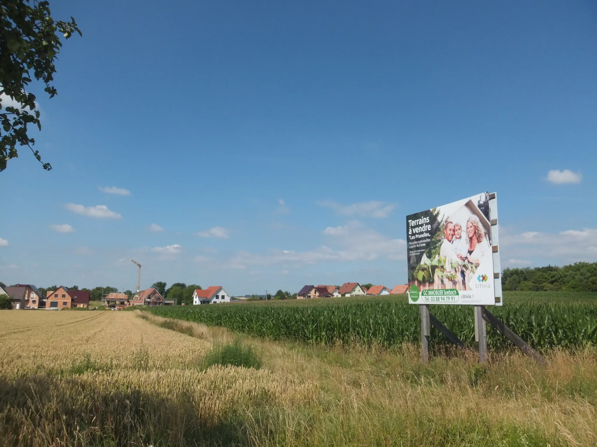 Terrains constructibles à Seebach – Viabilisés, libres de constructeur 