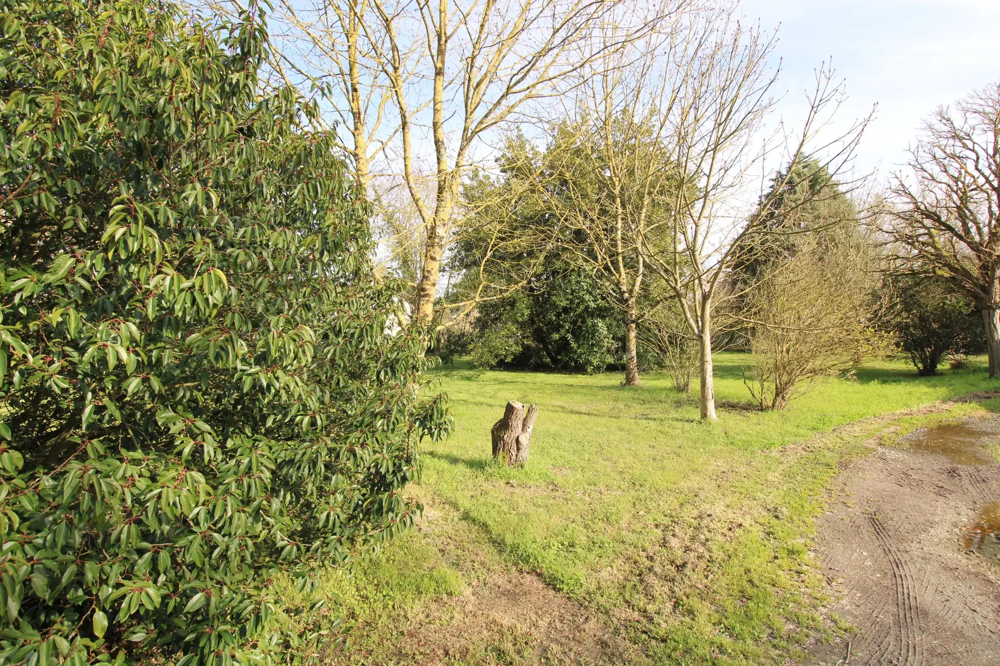 Maison à Saffré avec 3 chambres, grand jardin et garage - Opportunité à saisir 