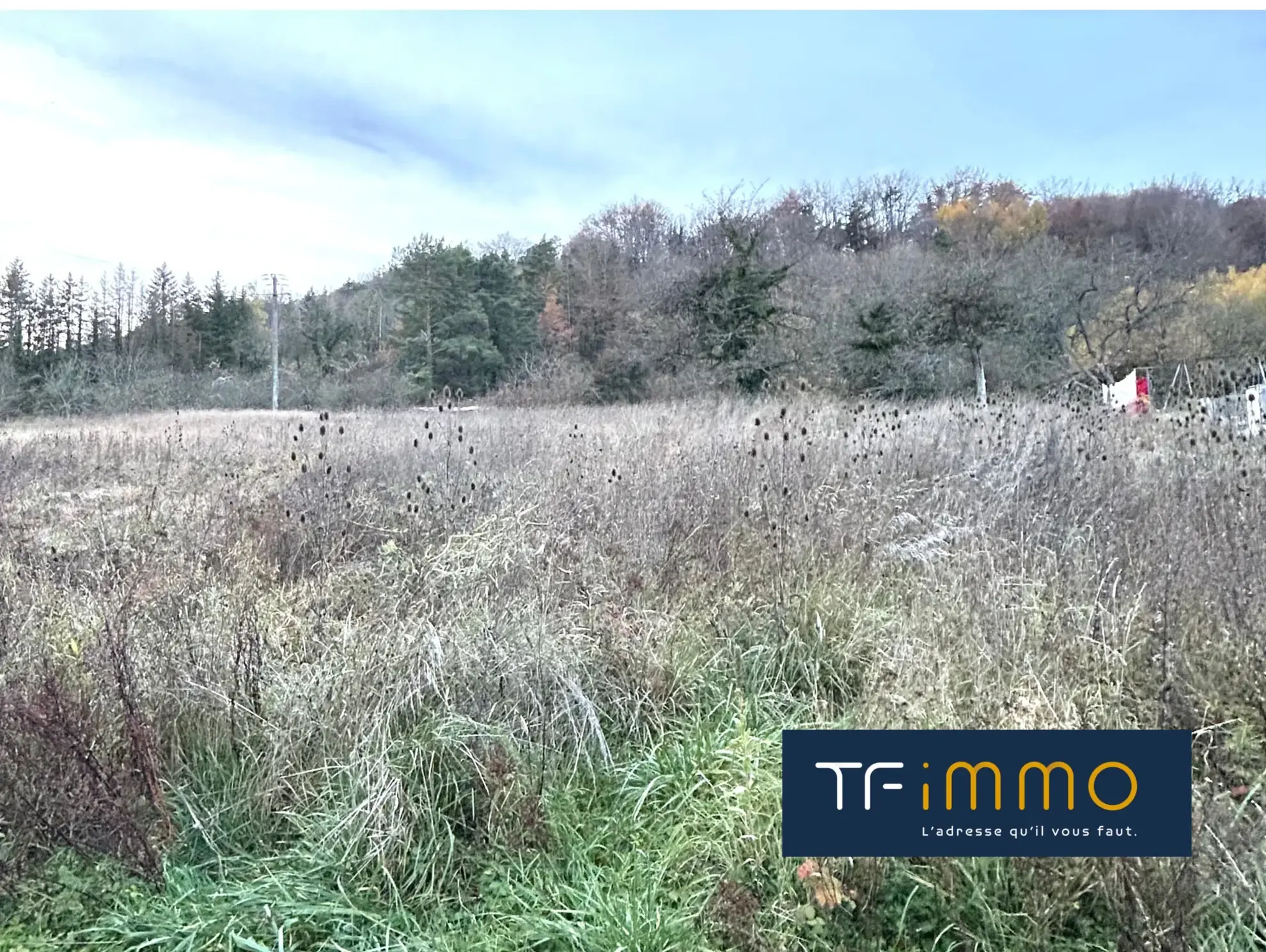 Terrain constructible viabilisé de 891 m2 à Choloy-Ménillot, secteur calme