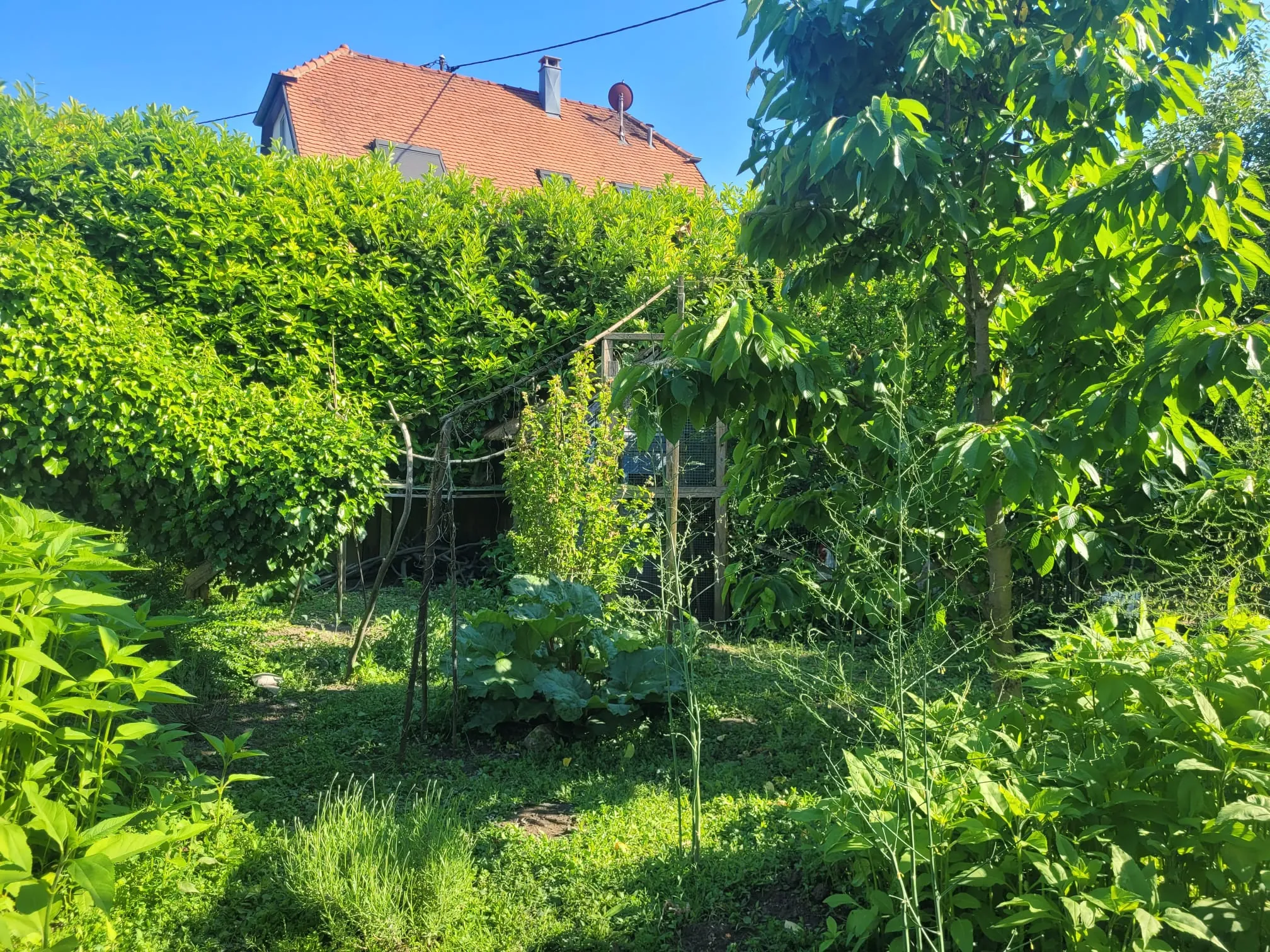 Maison à rénover de 90 m² à Village-Neuf proche frontières et commodités 