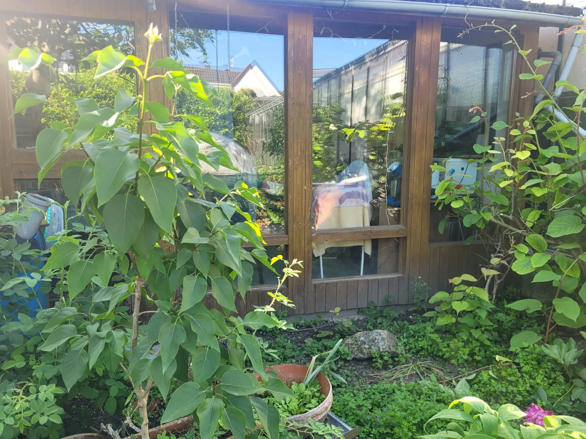 Maison à rénover de 90 m² à Village-Neuf proche frontières et commodités 