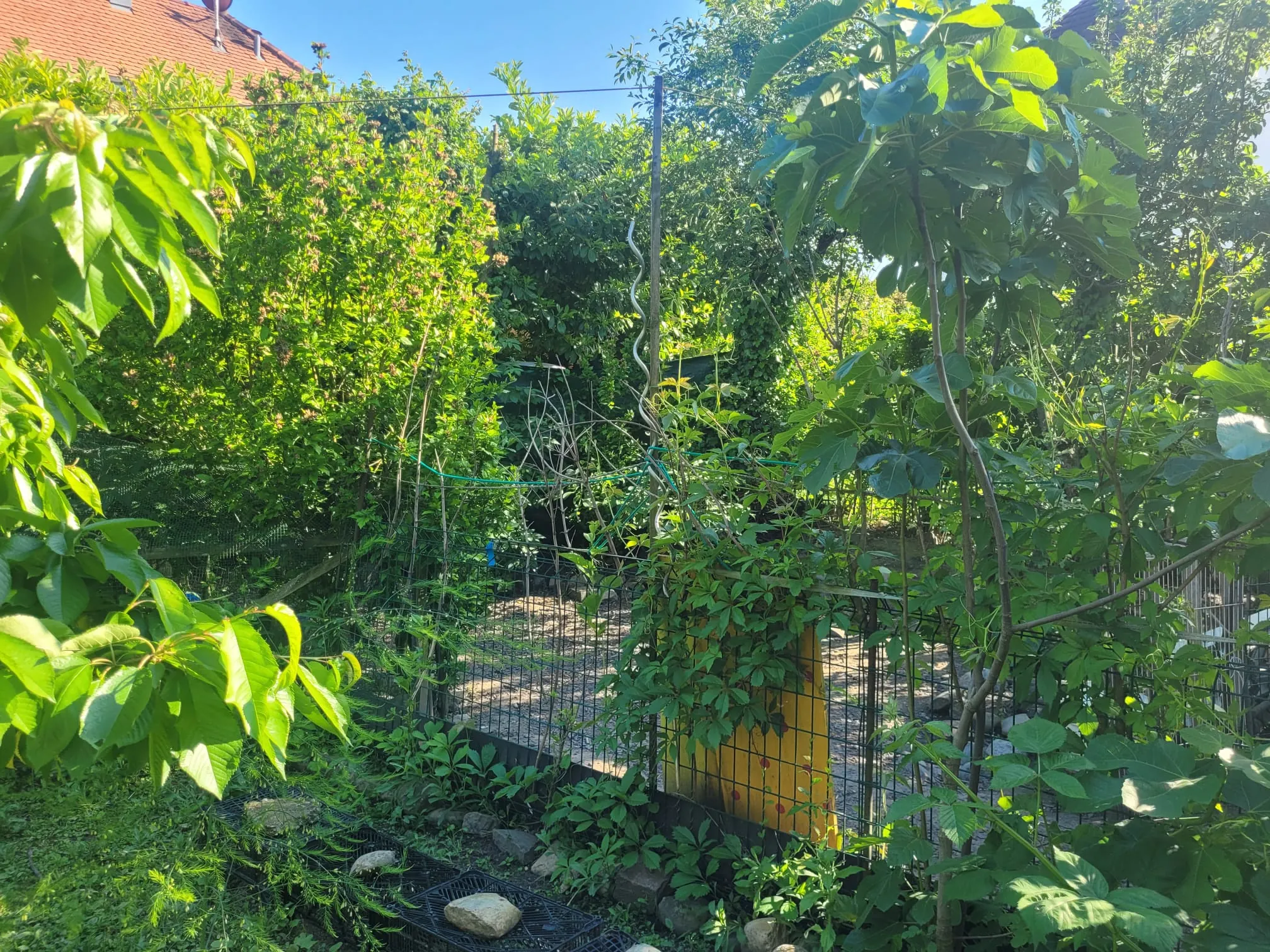 Maison à rénover de 90 m² à Village-Neuf proche frontières et commodités 