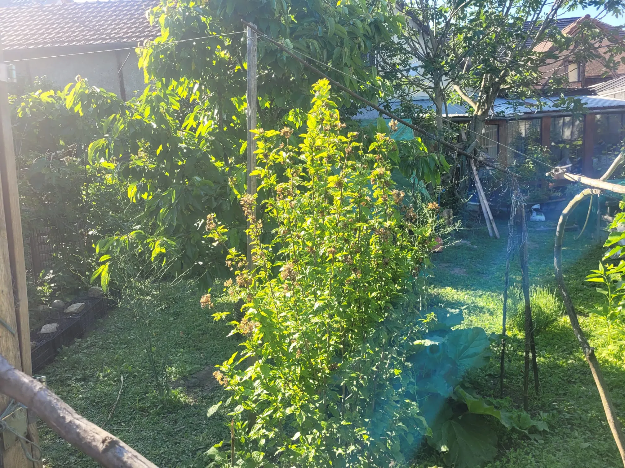 Maison à rénover de 90 m² à Village-Neuf proche frontières et commodités 