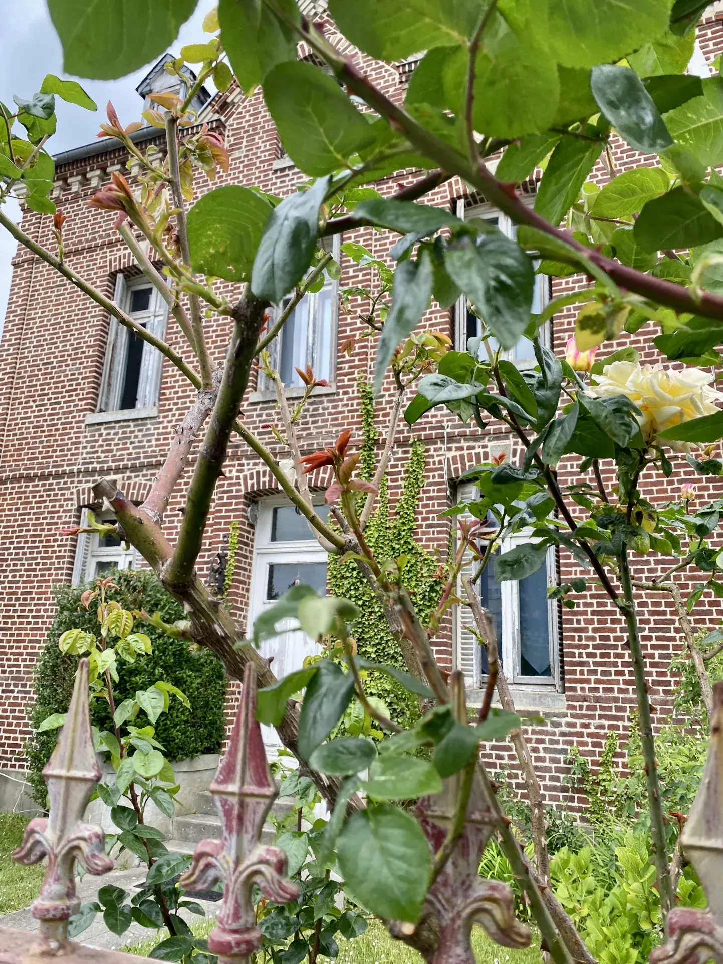 Maison de ville en briques avec jardin à Eu – Potentiel de rénovation