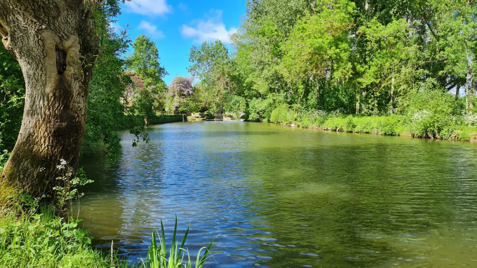 Terrain de loisirs à vendre au bord du Lay près de Mareuil et Sainte-Hermine 