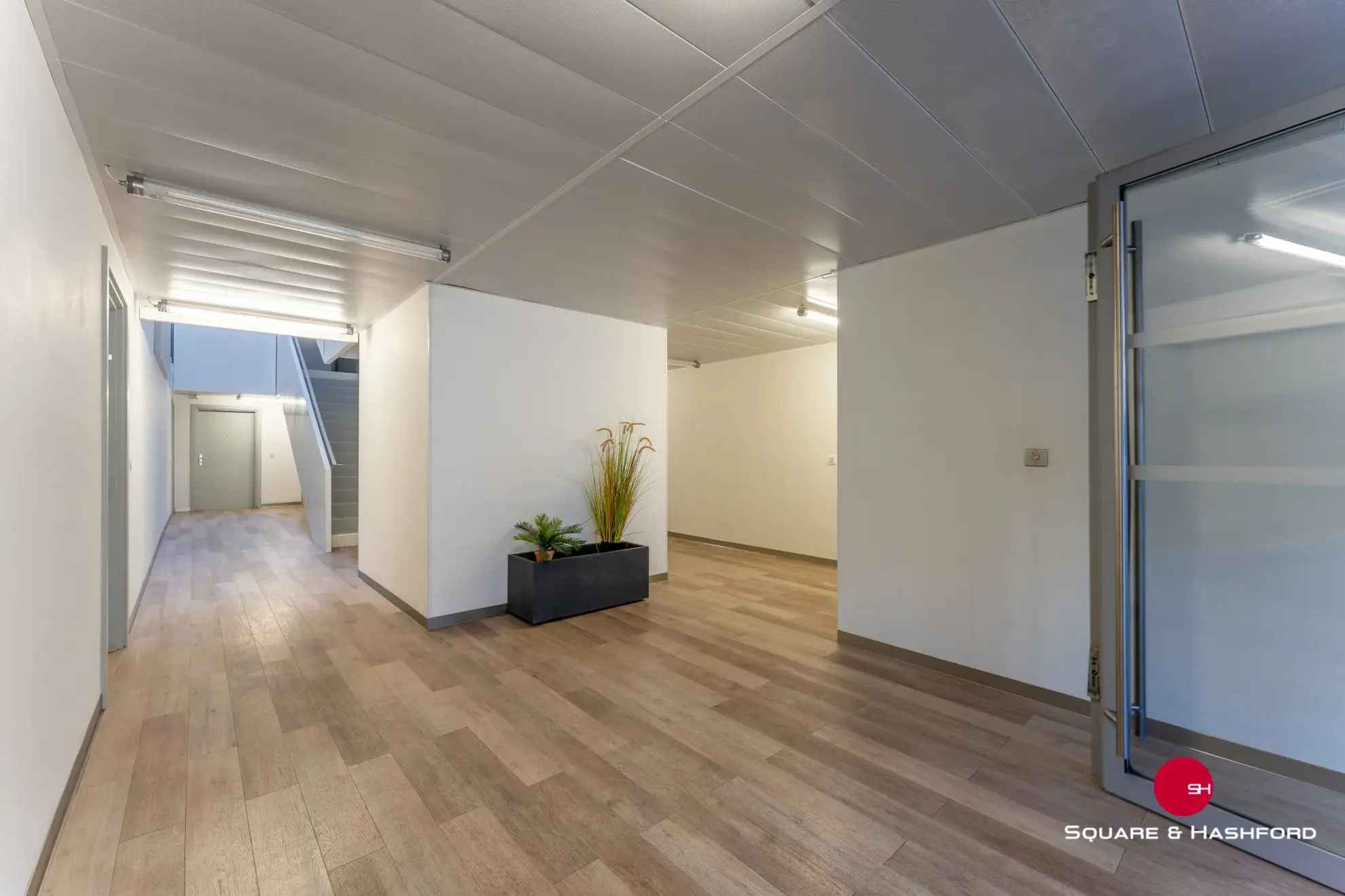 À vendre à Bègles, Grand deux pièces de 55 m² avec balcon exposé Est 