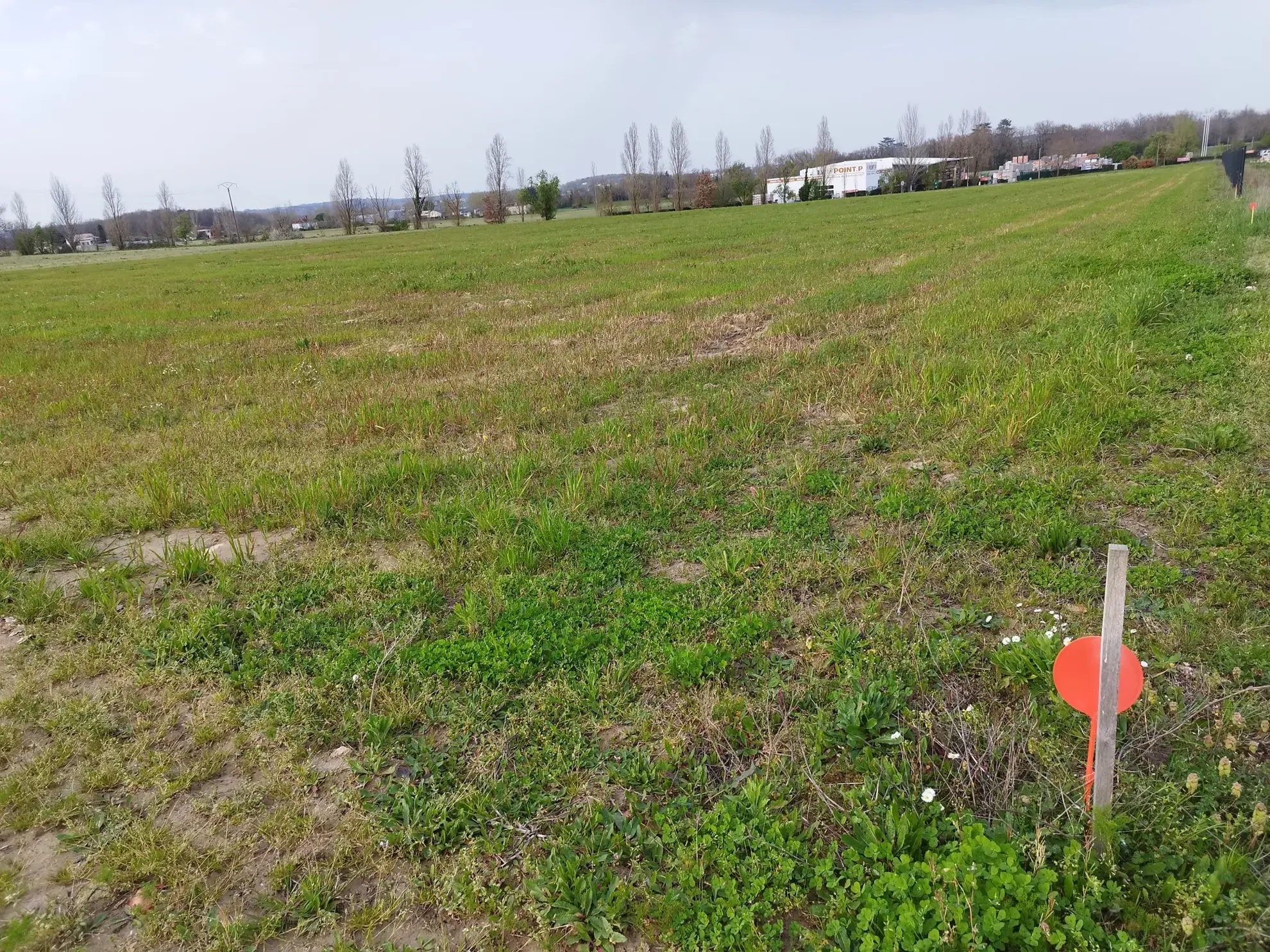 Terrain constructible de 18 000 m² à Miramont-de-Guyenne - Zone UX