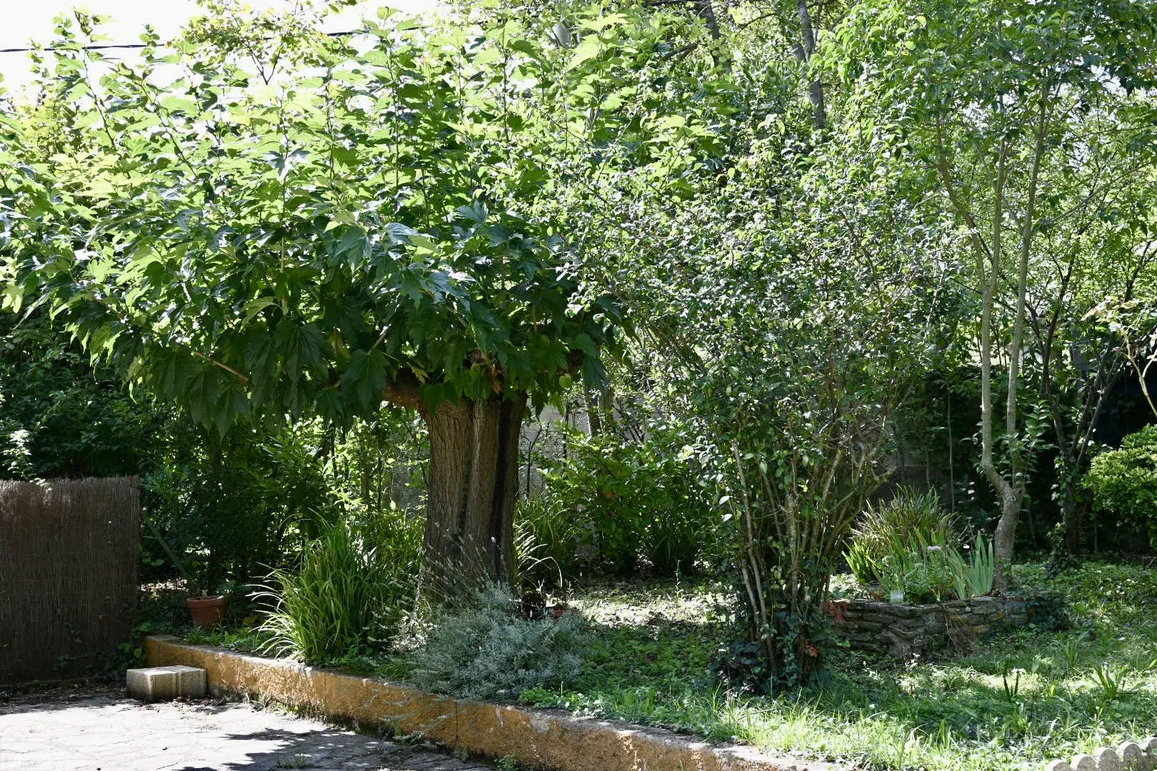 Charmante maison de 129 m² avec jardin et garage à Carcassonne 