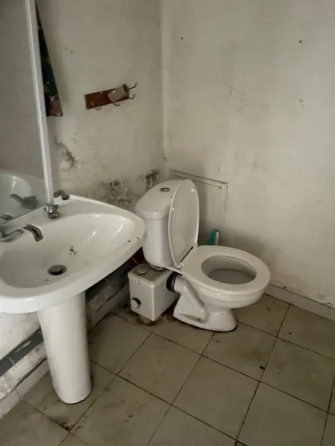 Local commercial à rénover de 71 m² avec jardin à Cadaujac 