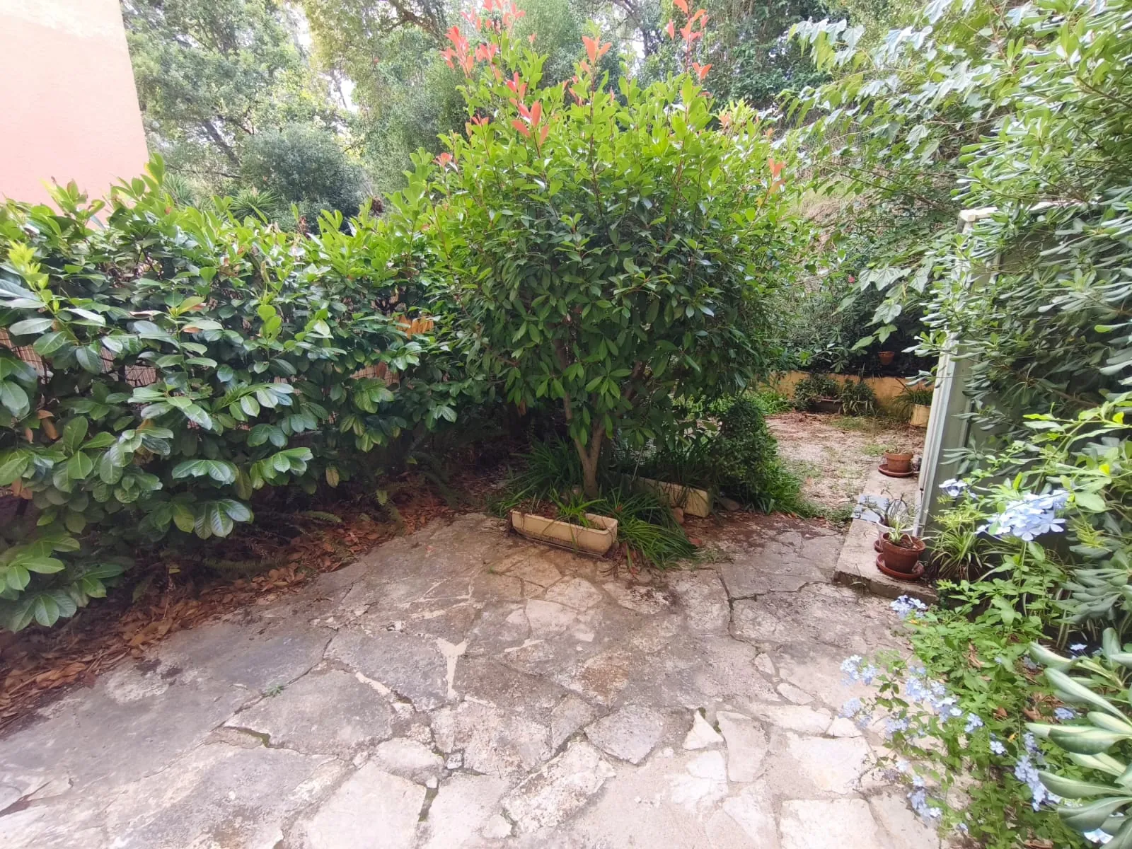 Appartement T3 avec terrasse, jardin et parking à La Seyne-sur-Mer près du fort Napoléon 