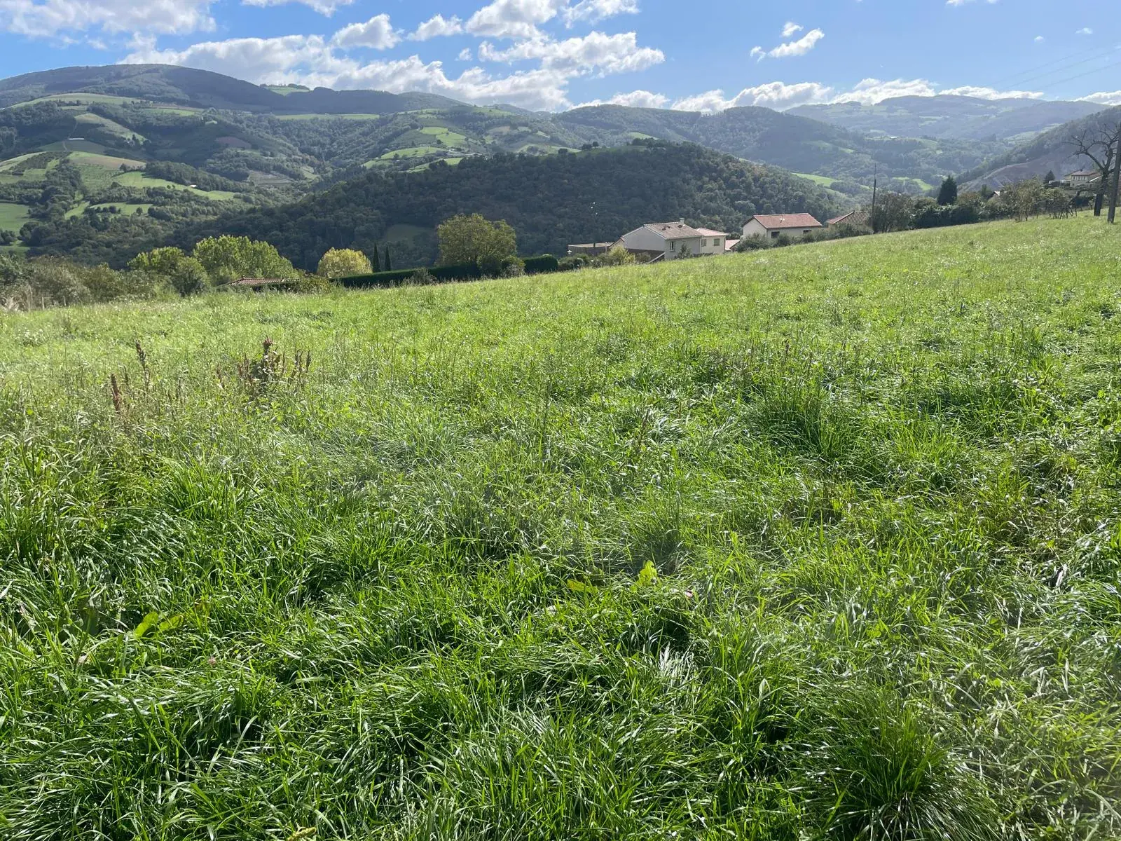 Terrains à bâtir à vendre à Brussieu, centre village, vue Monts du Lyonnais, libres de constructeur 
