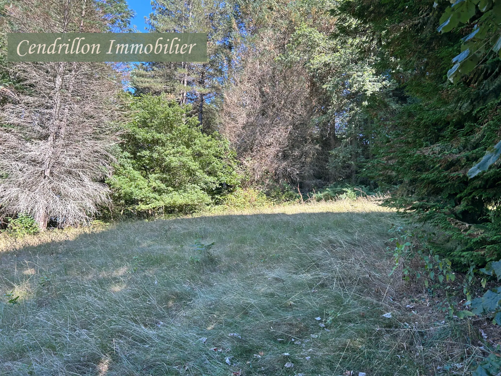 Maison en pierre de 110 m² avec 5 chambres, grange et dépendances à Chatelus le Marcheix 