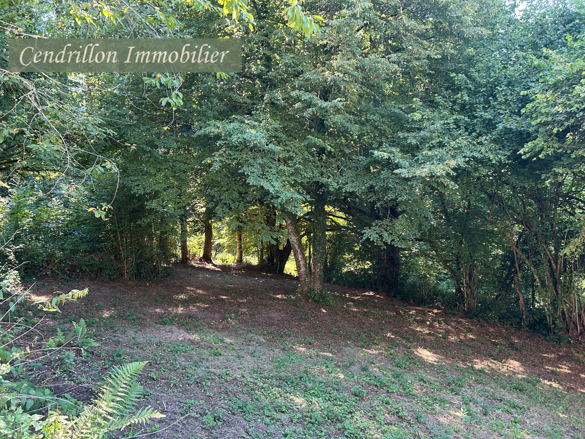 Maison en pierre de 110 m² avec 5 chambres, grange et dépendances à Chatelus le Marcheix 