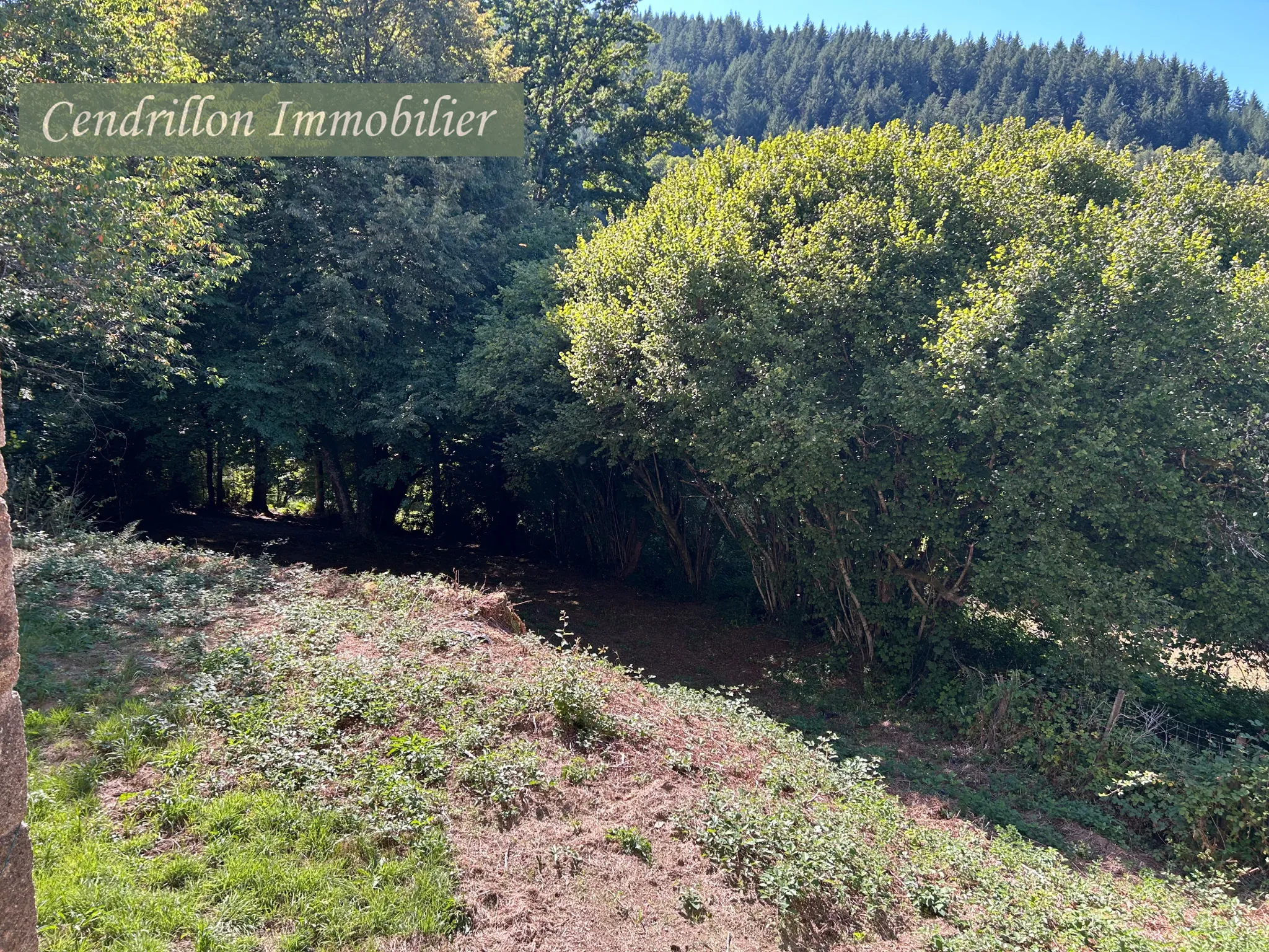 Maison en pierre de 110 m² avec 5 chambres, grange et dépendances à Chatelus le Marcheix 