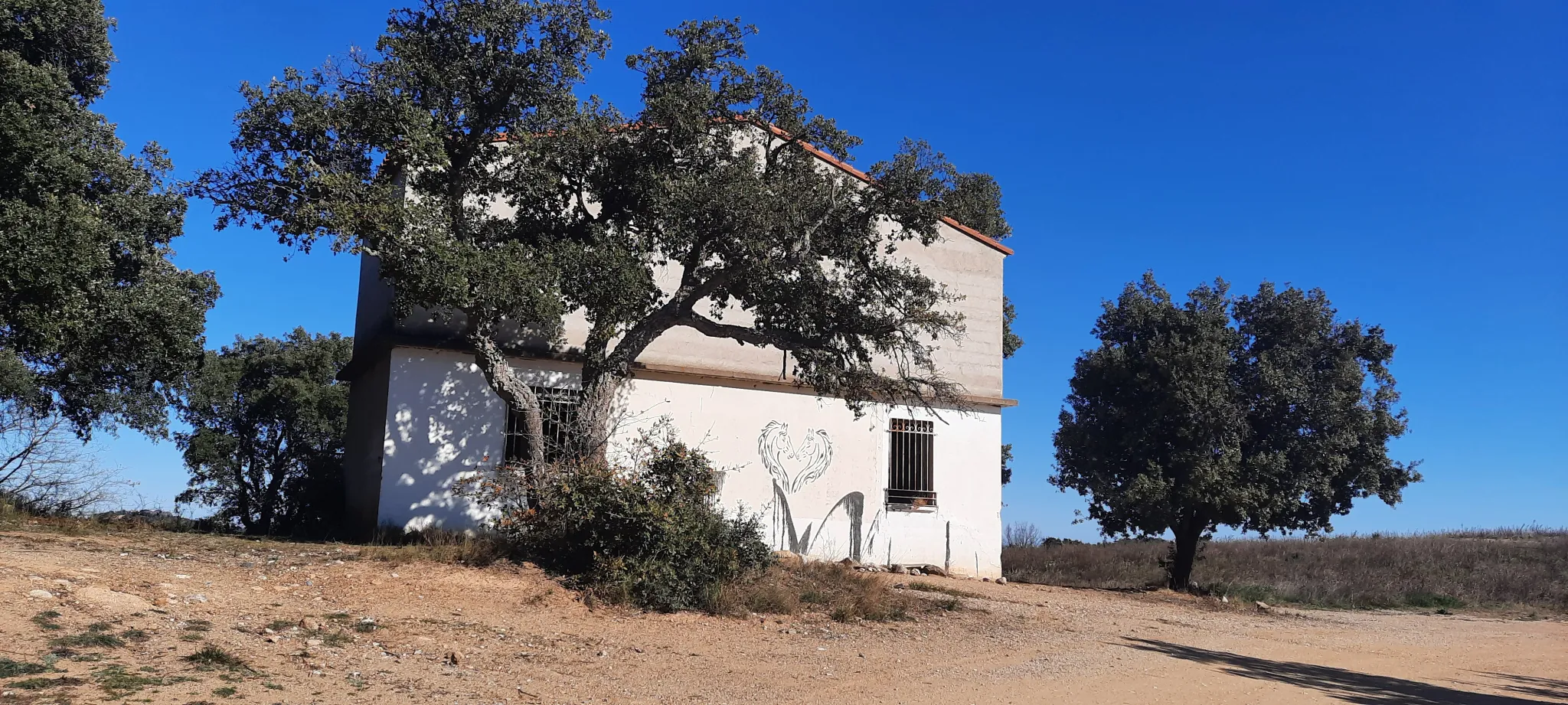 Terrain de loisir avec cabanon et vue sur le Canigou à Vives