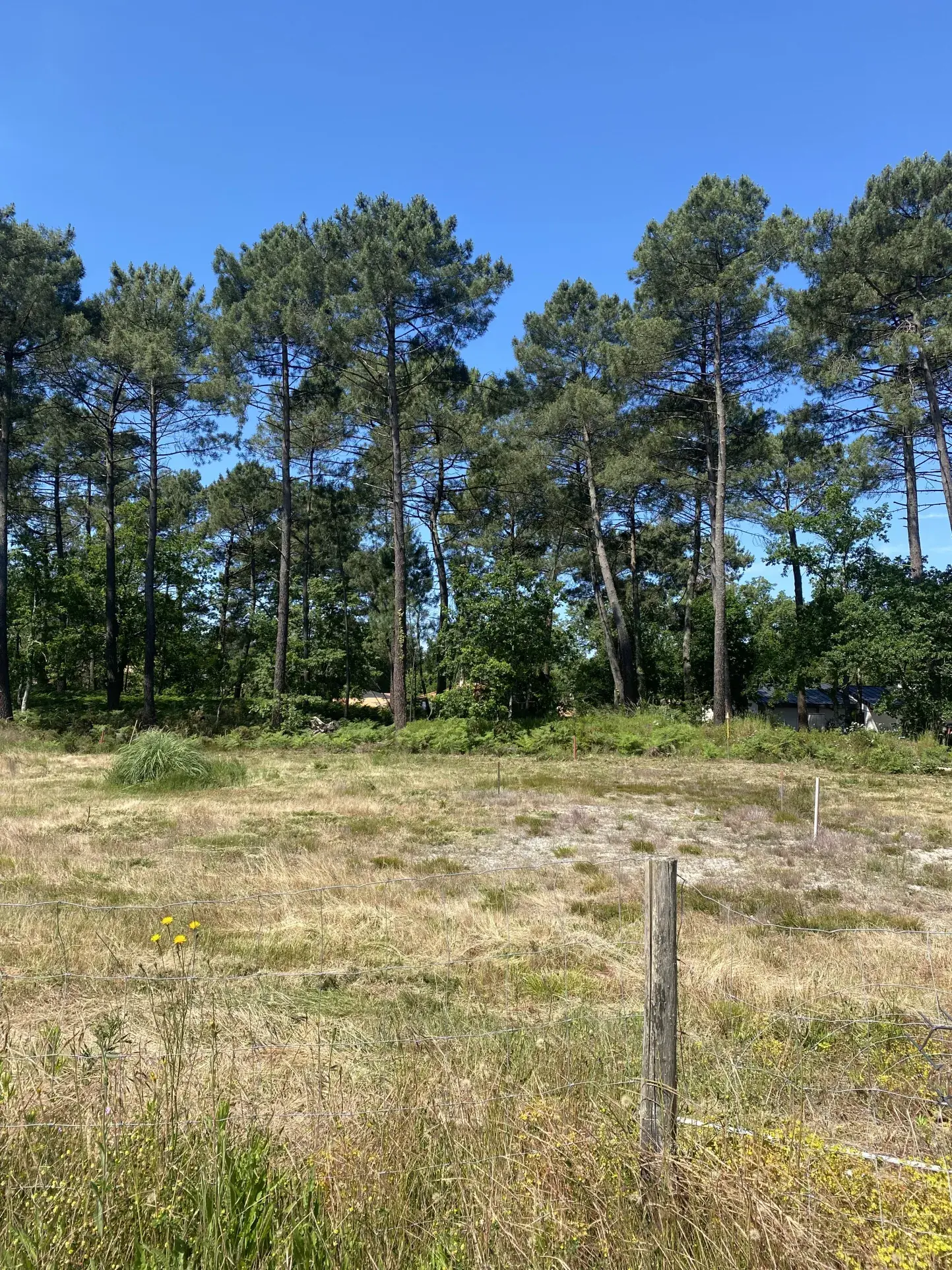 Superbe terrain constructible de 540 m² à Martignas-sur-Jalle près Bordeaux