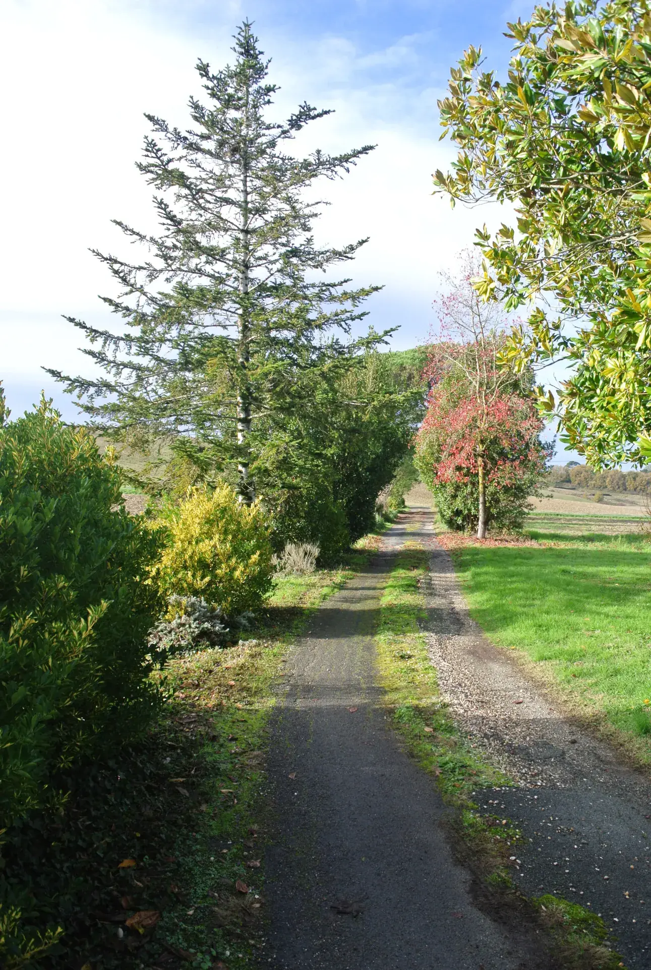 Grande maison bourgeoise avec granges et parc à Duras – Idéal projet gîte ou chambres d'hôtes 