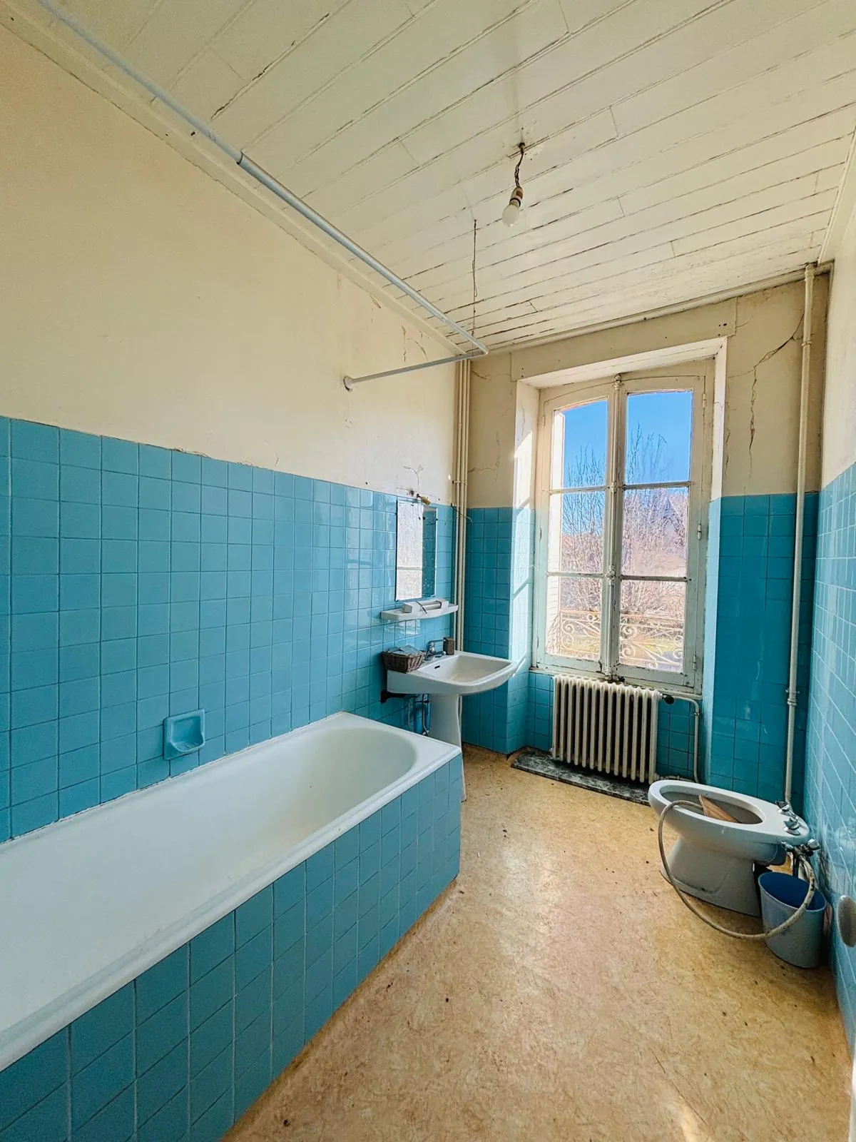 Maison de maître à rénover avec dépendance à Jussac, 3352 m² de terrain 