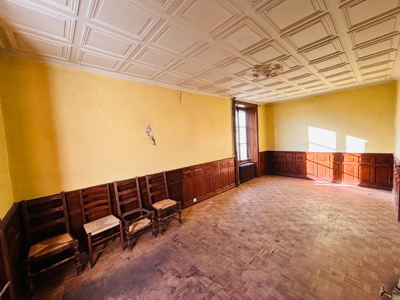 Maison de maître à rénover avec dépendance à Jussac, 3352 m² de terrain 