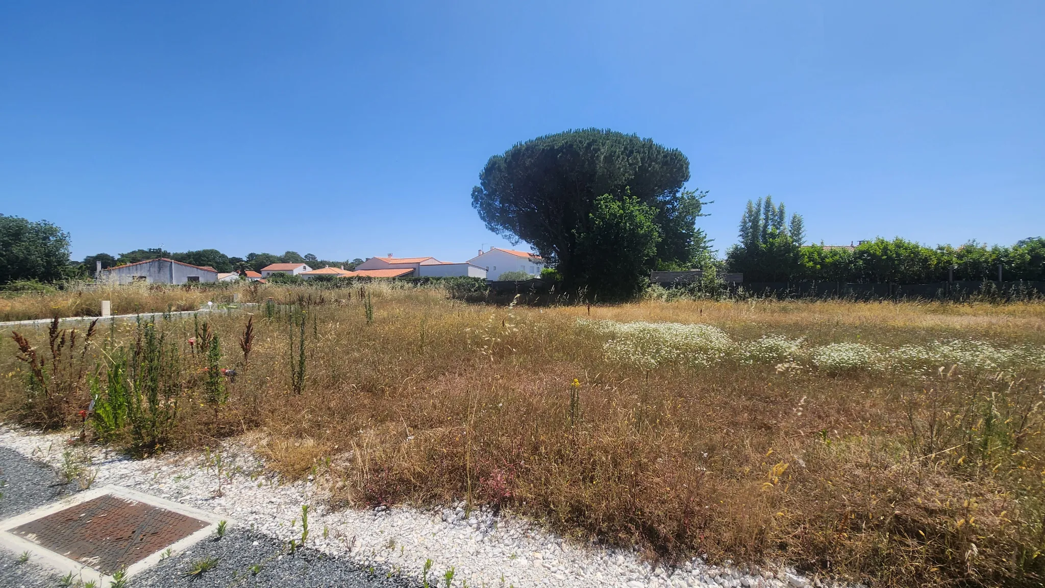 Terrain constructible de 351 m² à Vaux-sur-Mer, environnement calme et familial