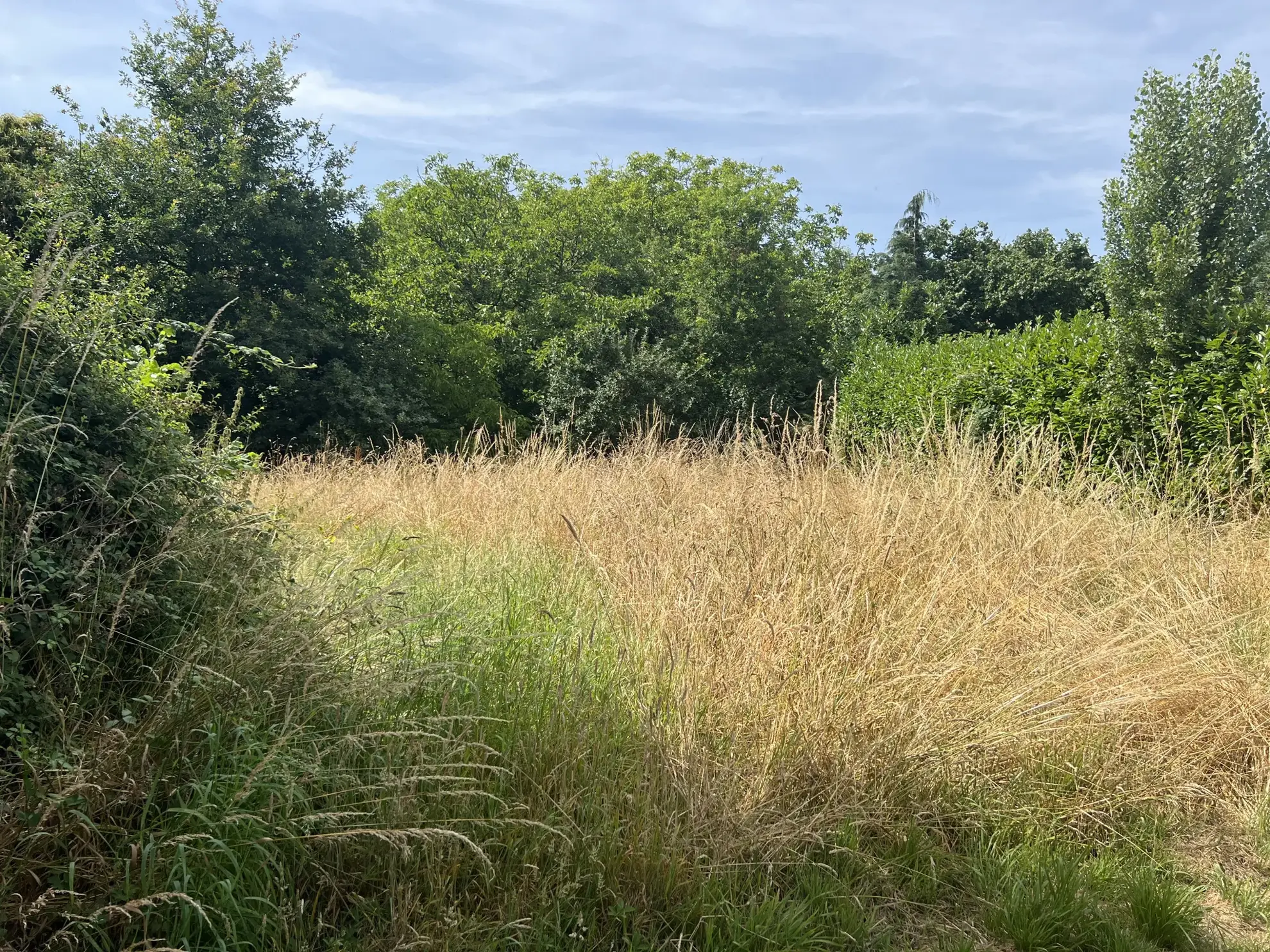 Maison à rénover avec 4 chambres au calme à Saint Laurent de la Salle 