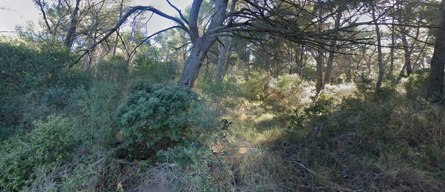 Terrain non constructible de 9180m² à Saint Mitre les REMPARTS avec vue forêt