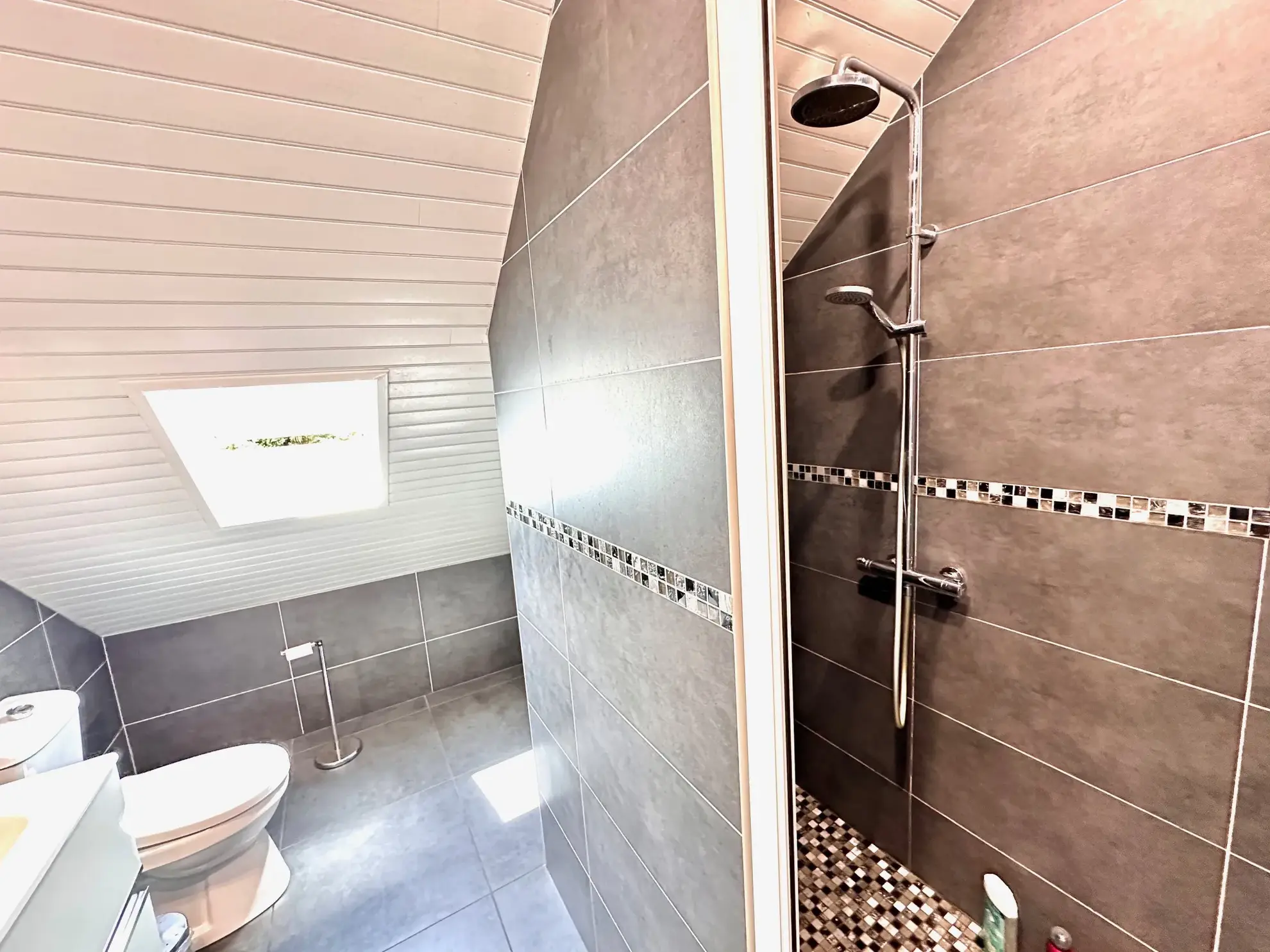 Belle maison familiale à Juillan avec terrain arboré et garage proche Tarbes Sud 