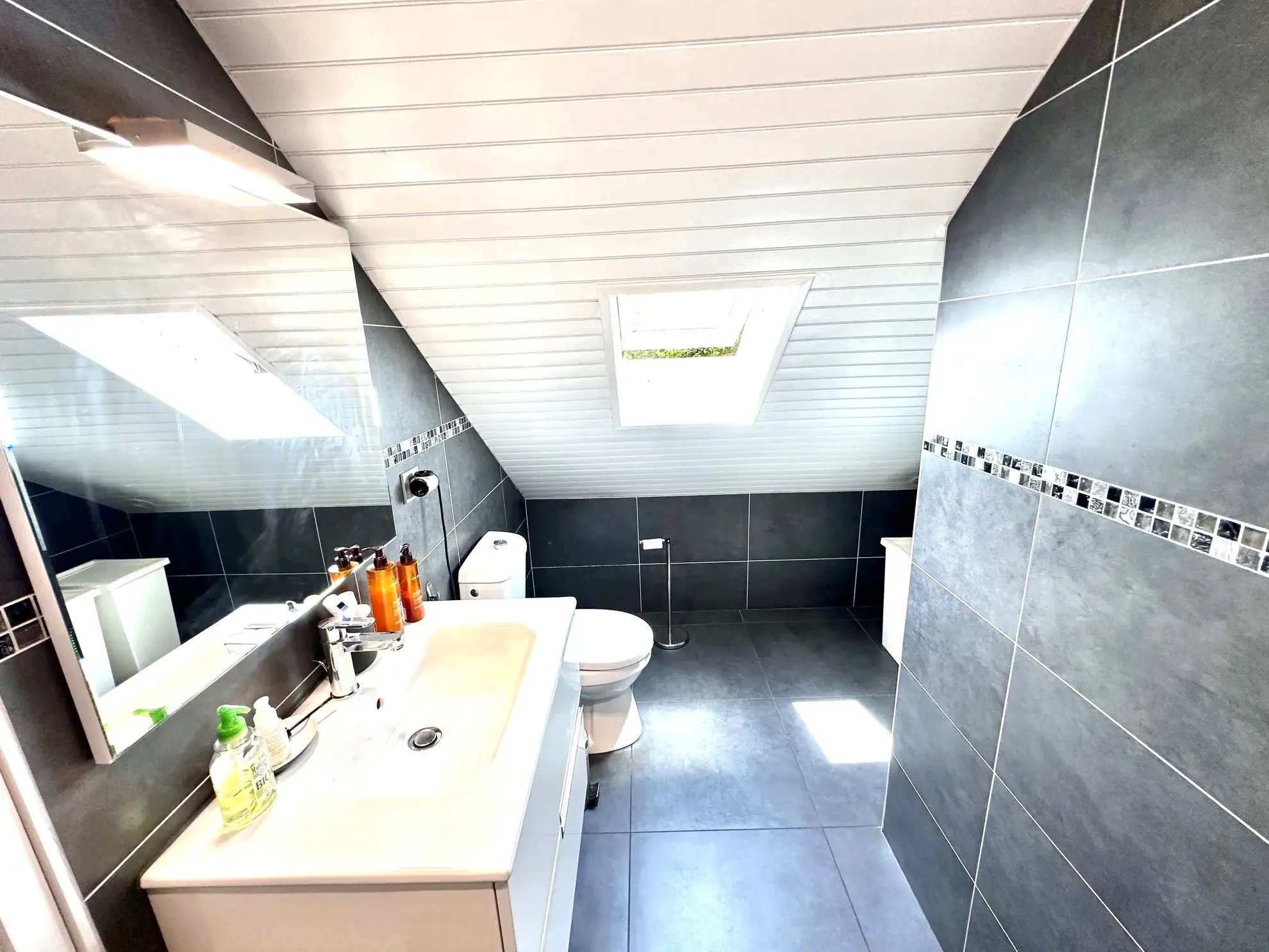 Belle maison familiale à Juillan avec terrain arboré et garage proche Tarbes Sud 