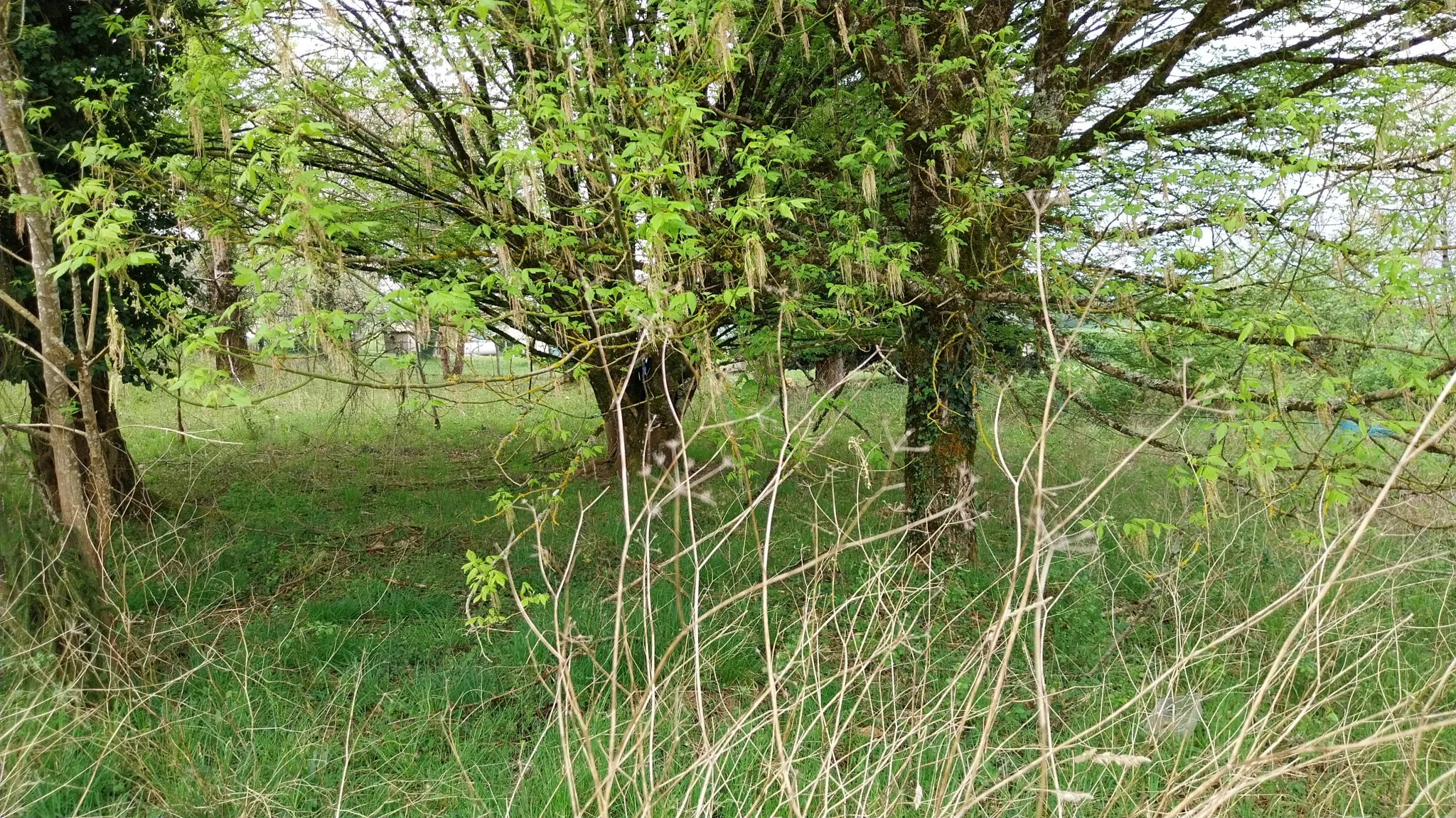 Maison 2 chambres avec grand terrain et vue dégagée, calme à St Pierre de Cole 