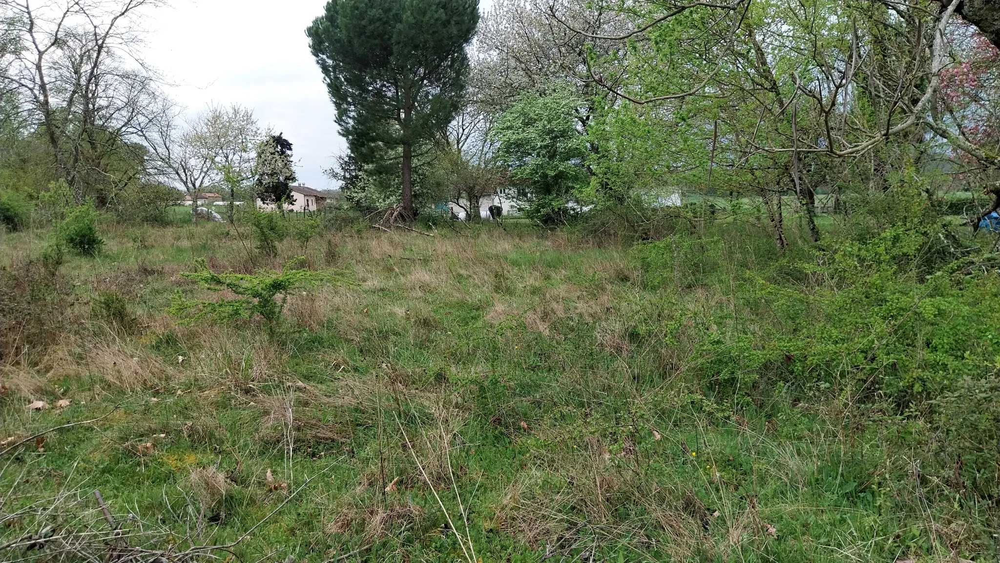 Maison 2 chambres avec grand terrain et vue dégagée, calme à St Pierre de Cole 
