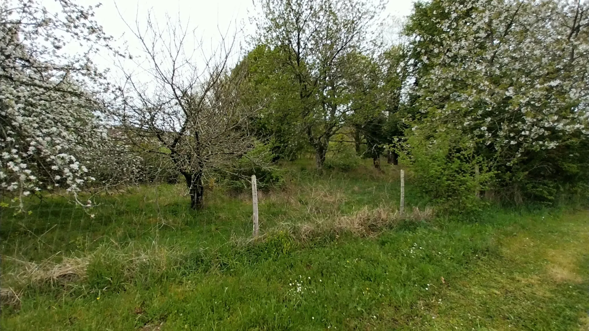 Maison 2 chambres avec grand terrain et vue dégagée, calme à St Pierre de Cole 