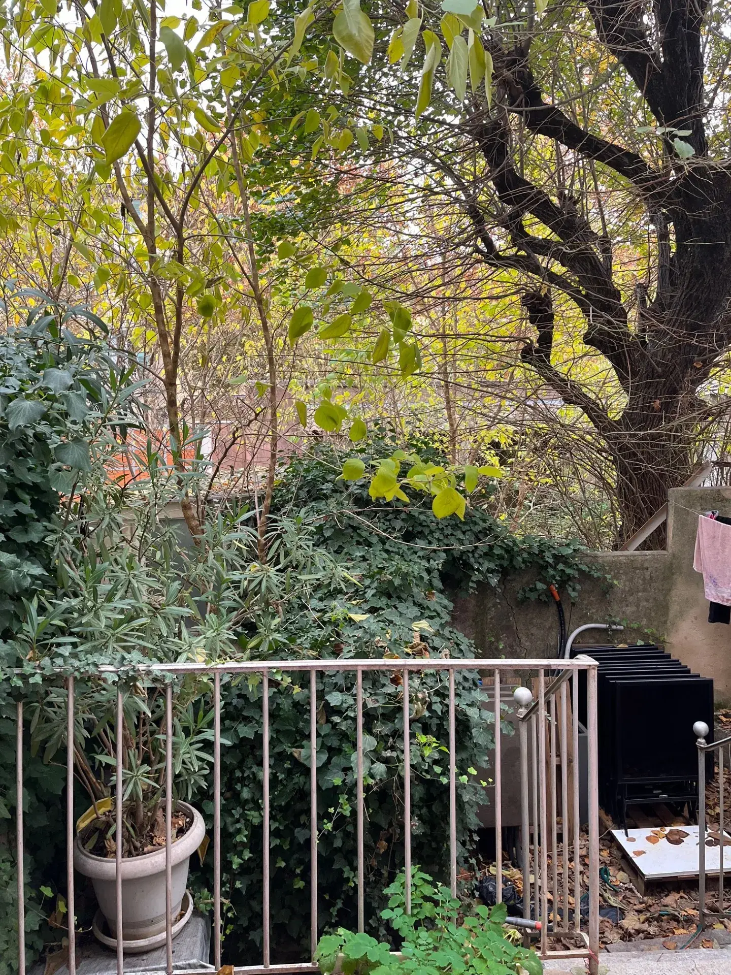 Studio en centre-ville de Draguignan avec mezzanine et terrasse à vendre