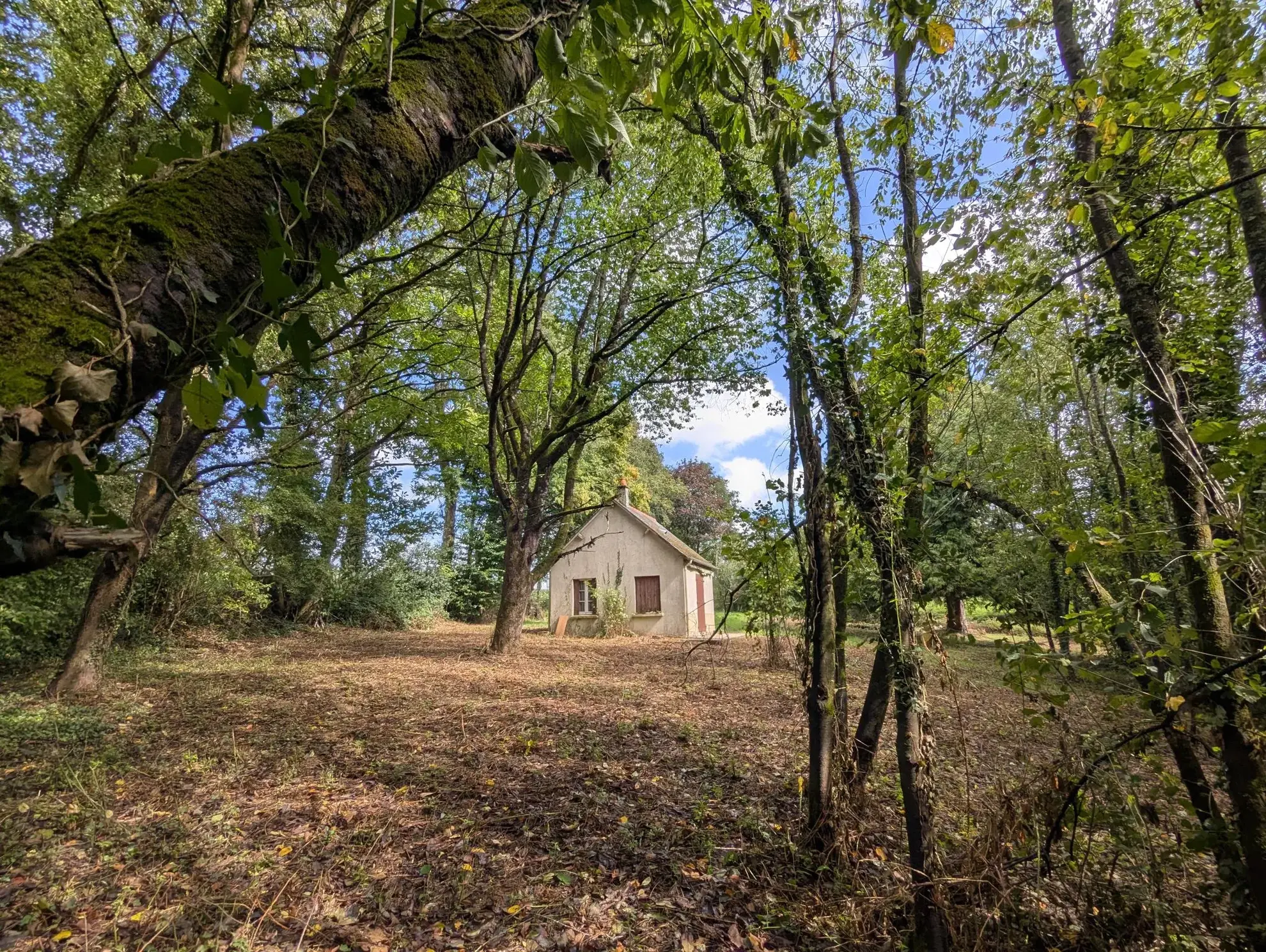 Bâtisse à rénover avec terrain de 2541m² en Brocéliande 