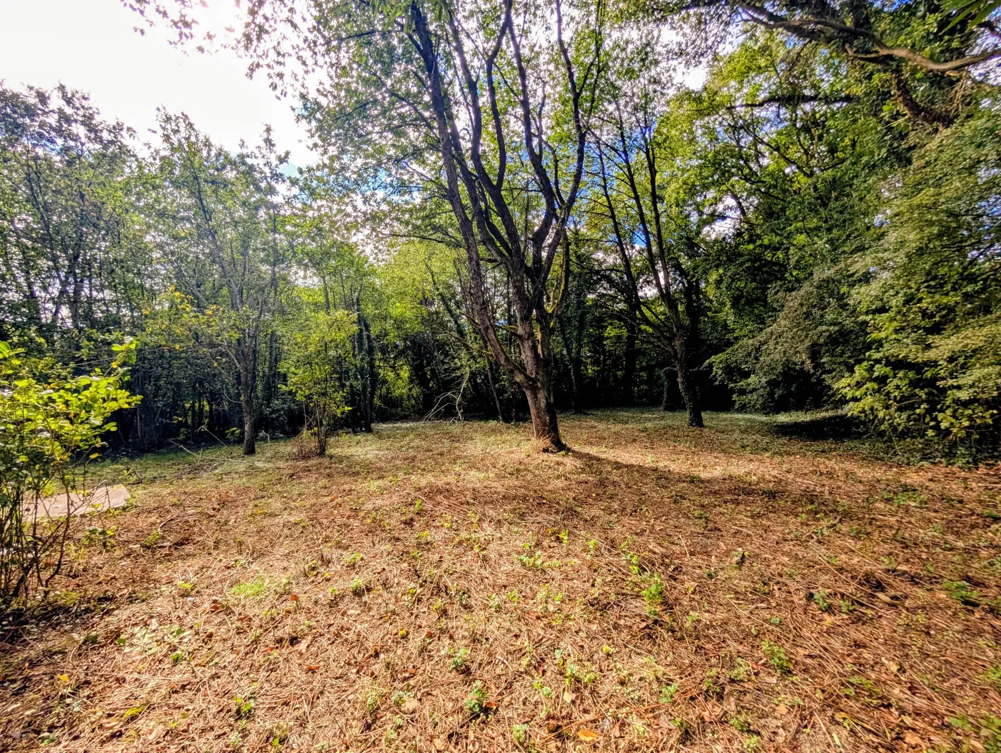 Bâtisse à rénover avec terrain de 2541m² en Brocéliande 
