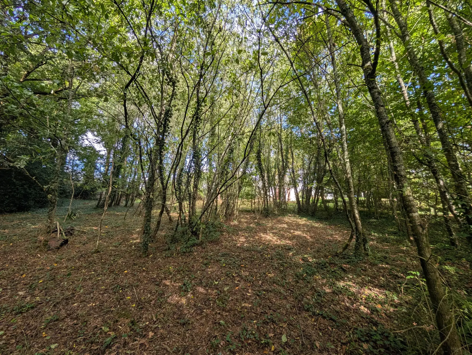 Bâtisse à rénover avec terrain de 2541m² en Brocéliande 