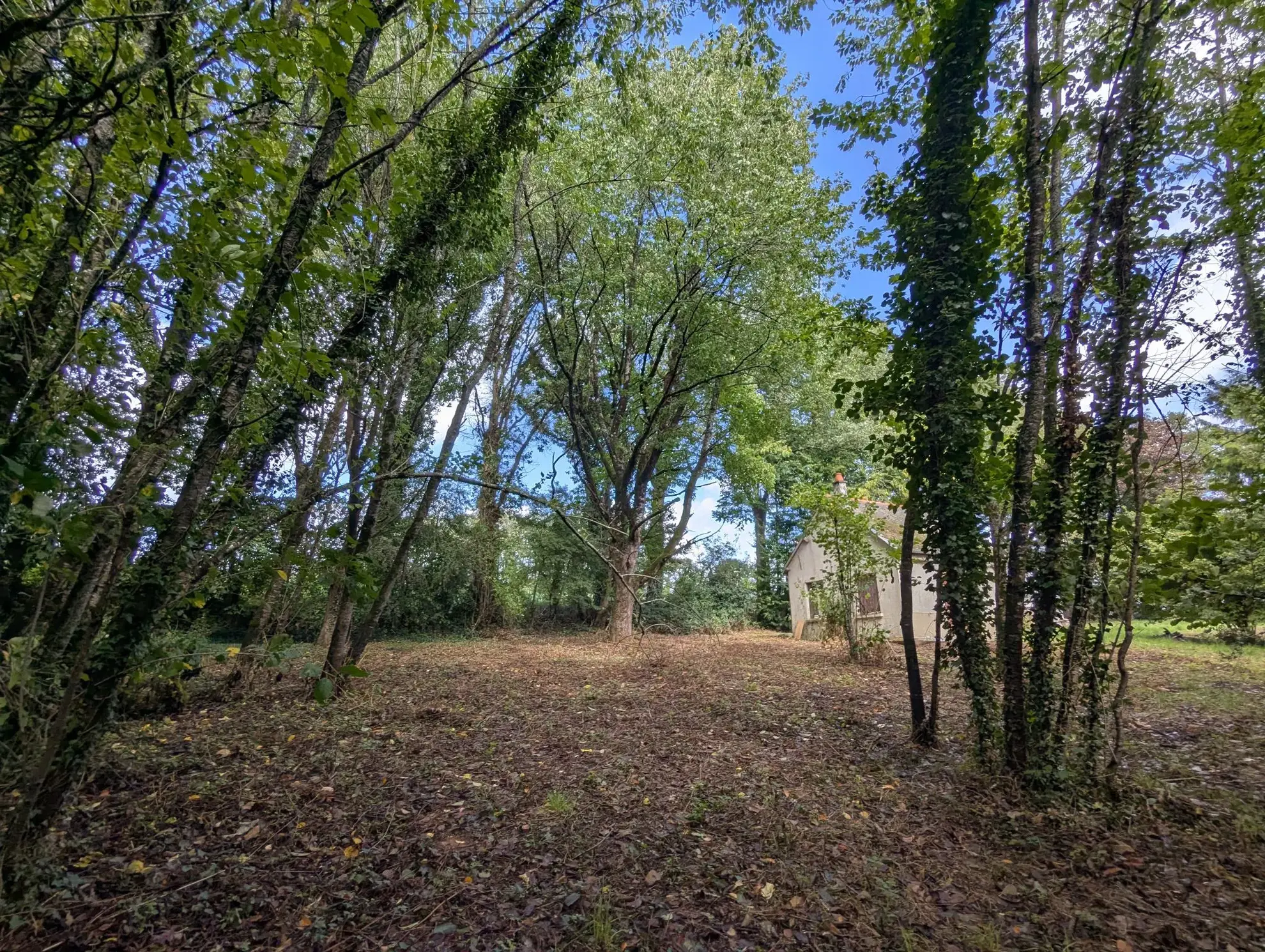 Bâtisse à rénover avec terrain de 2541m² en Brocéliande 