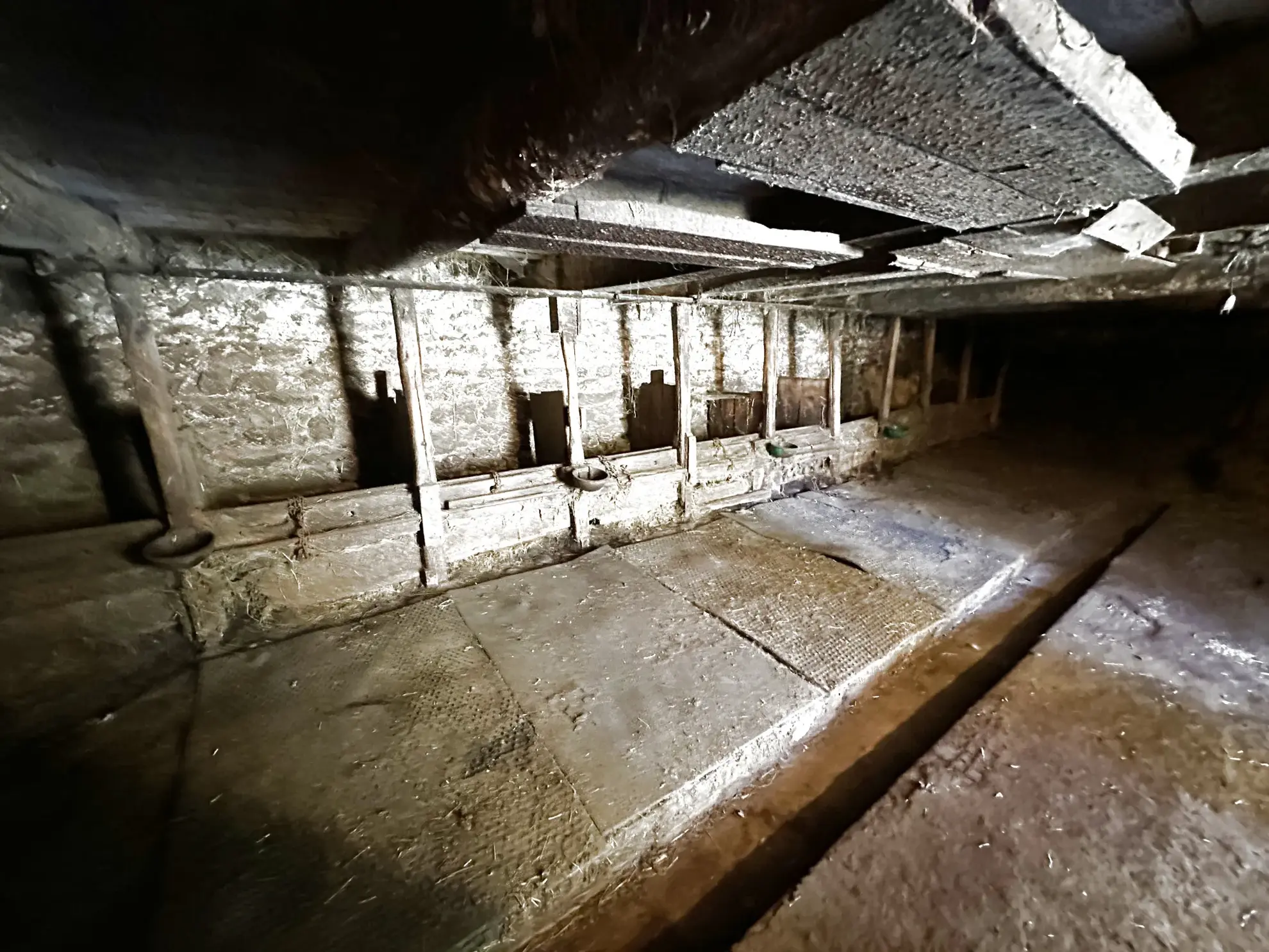 Corps de ferme à rénover à Laurie avec maison, grange, atelier et terrain de 818 m² 