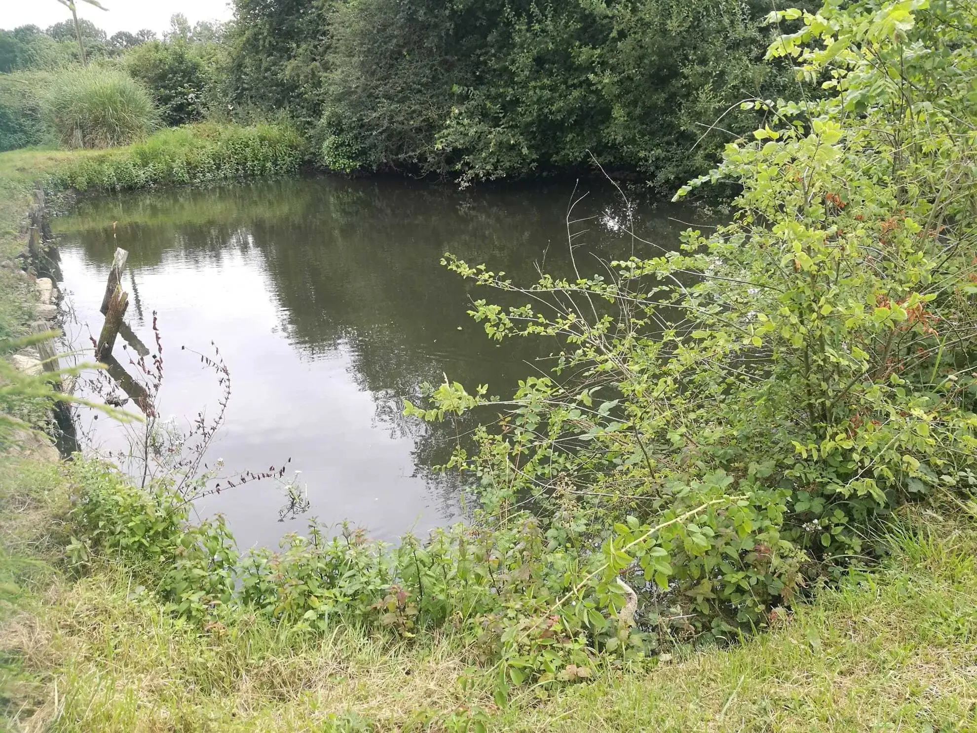 Maison à vendre à Hauterive de 140 m² avec terrain et hangar, proche d’Alençon 